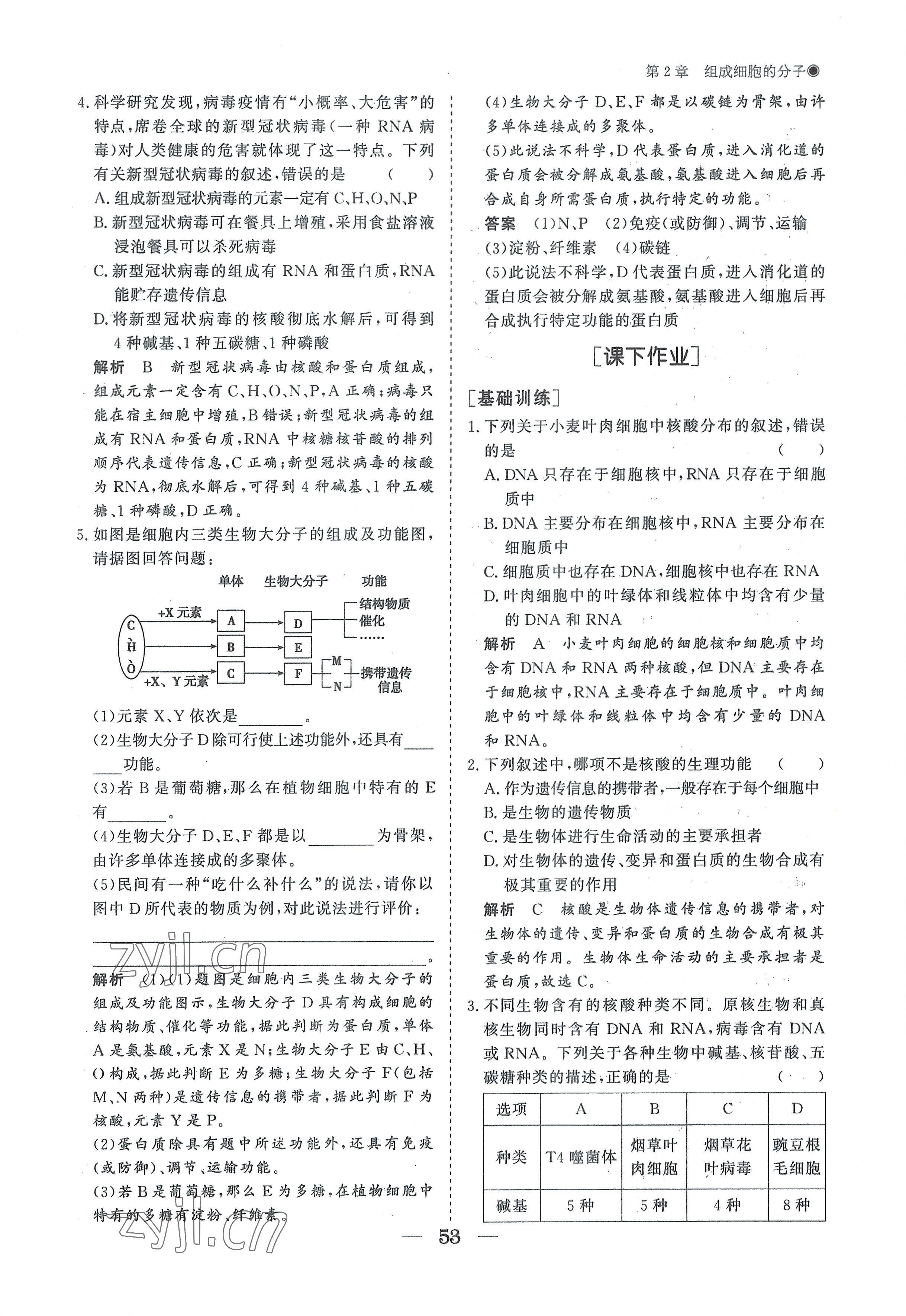 2022年高中導(dǎo)學(xué)測控優(yōu)化設(shè)計方案高中生物必修1人教版 參考答案第53頁