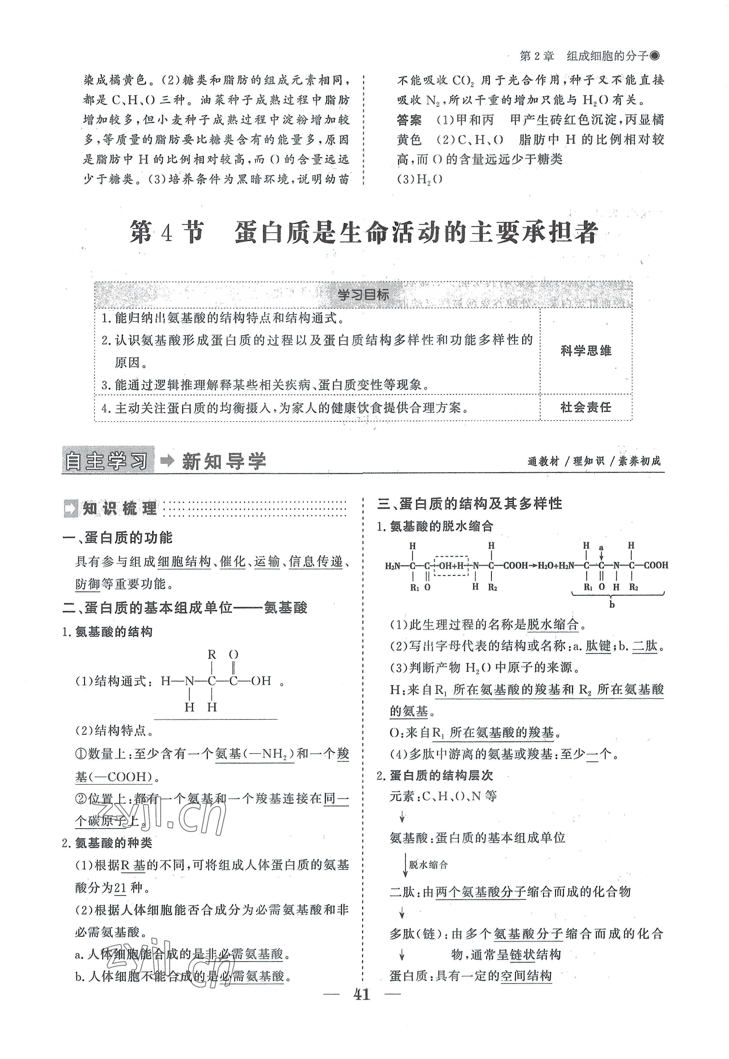 2022年高中導(dǎo)學(xué)測控優(yōu)化設(shè)計方案高中生物必修1人教版 參考答案第41頁