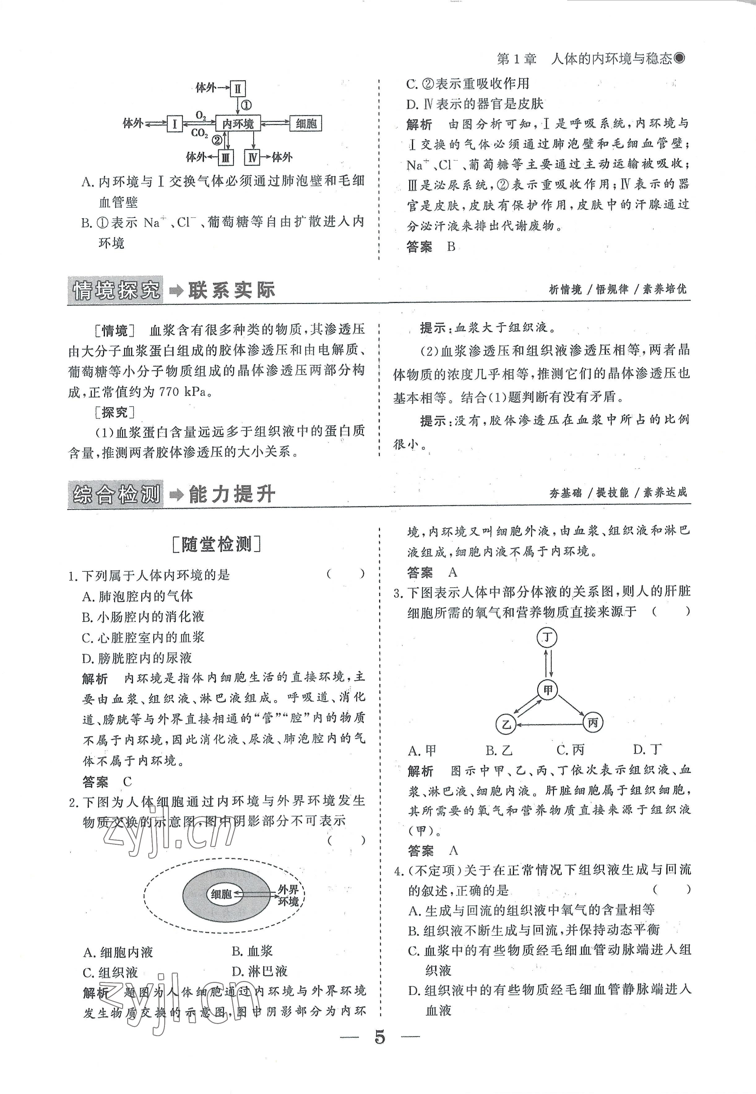 2022年高中导学测控优化设计方案生物选择性必修1人教版 参考答案第5页