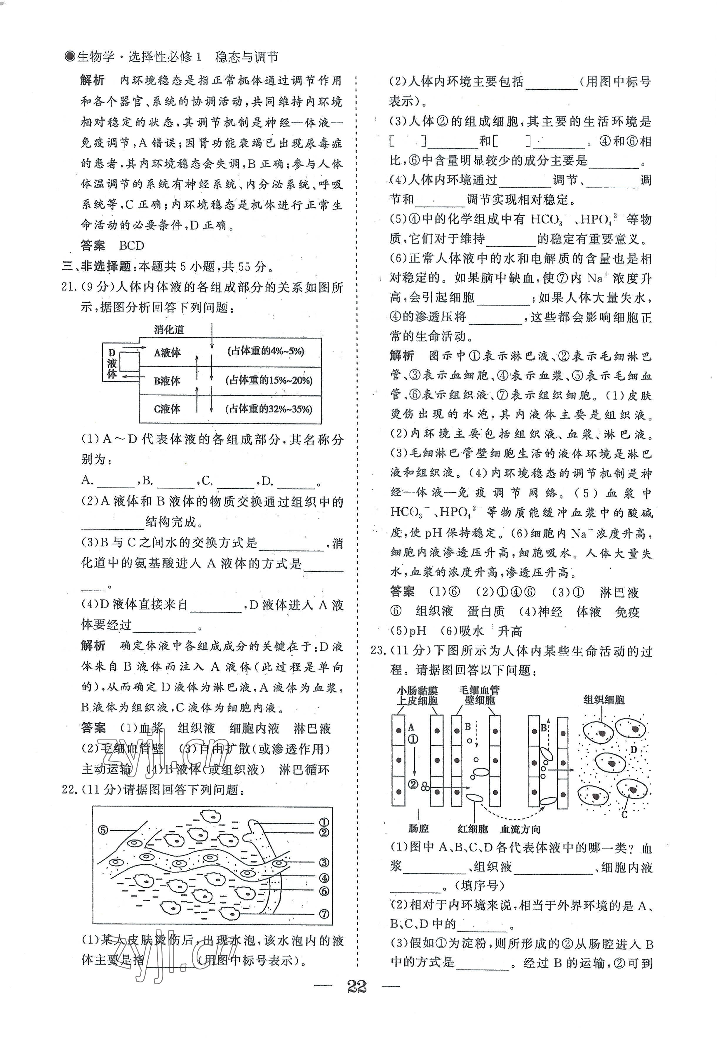 2022年高中導(dǎo)學(xué)測(cè)控優(yōu)化設(shè)計(jì)方案生物選擇性必修1人教版 參考答案第22頁(yè)