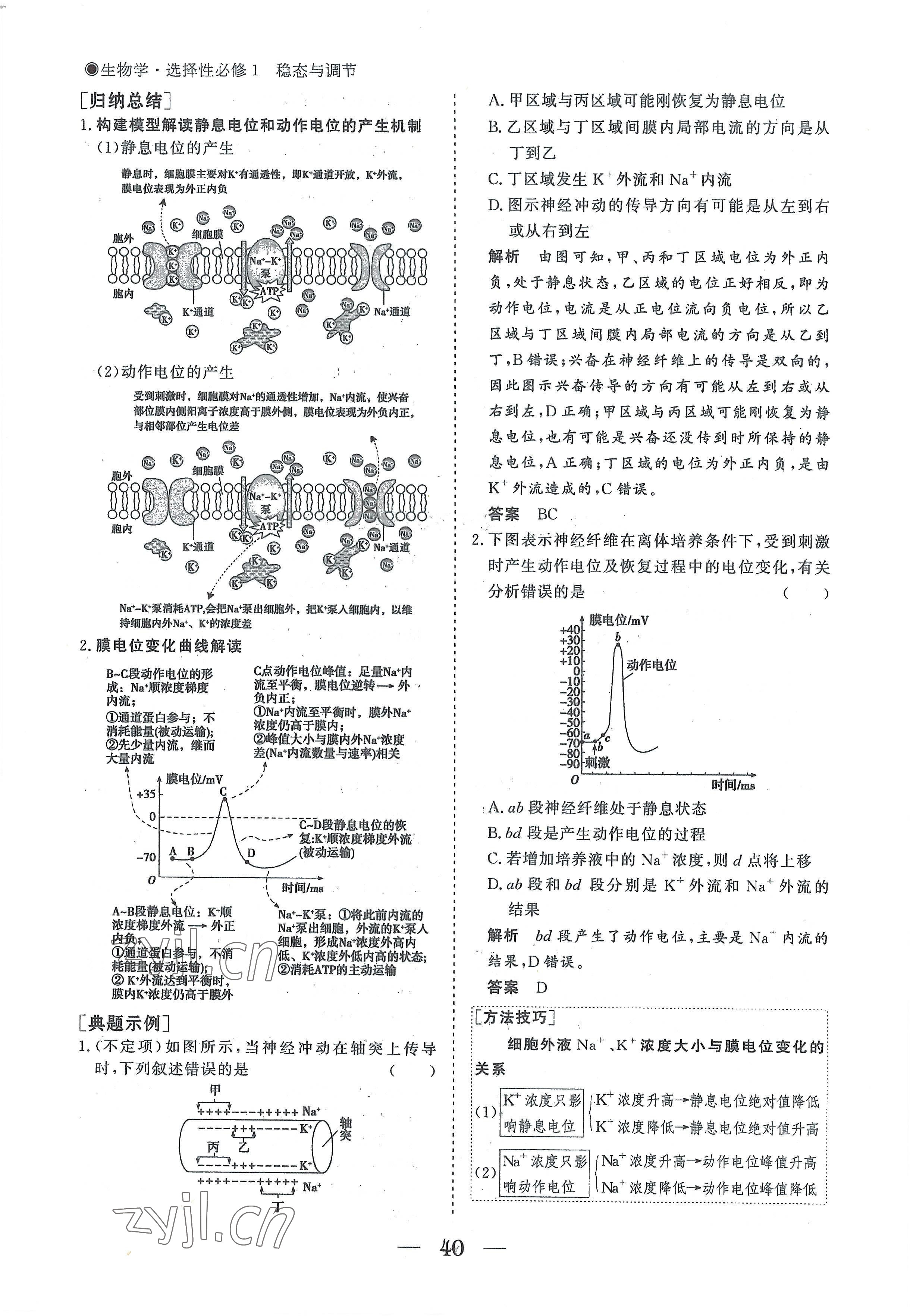 2022年高中導(dǎo)學(xué)測(cè)控優(yōu)化設(shè)計(jì)方案生物選擇性必修1人教版 參考答案第40頁(yè)