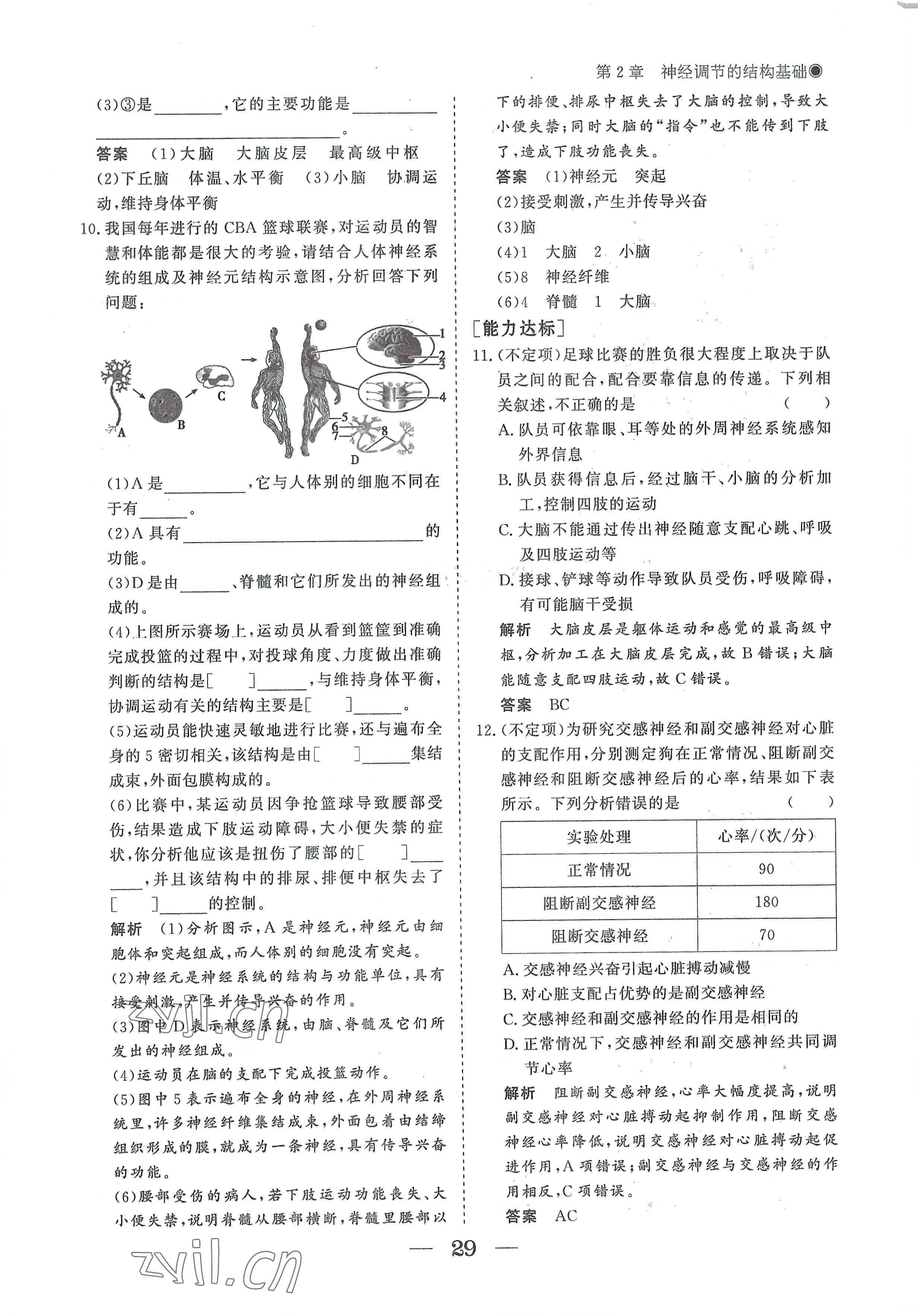 2022年高中導學測控優(yōu)化設計方案生物選擇性必修1人教版 參考答案第29頁