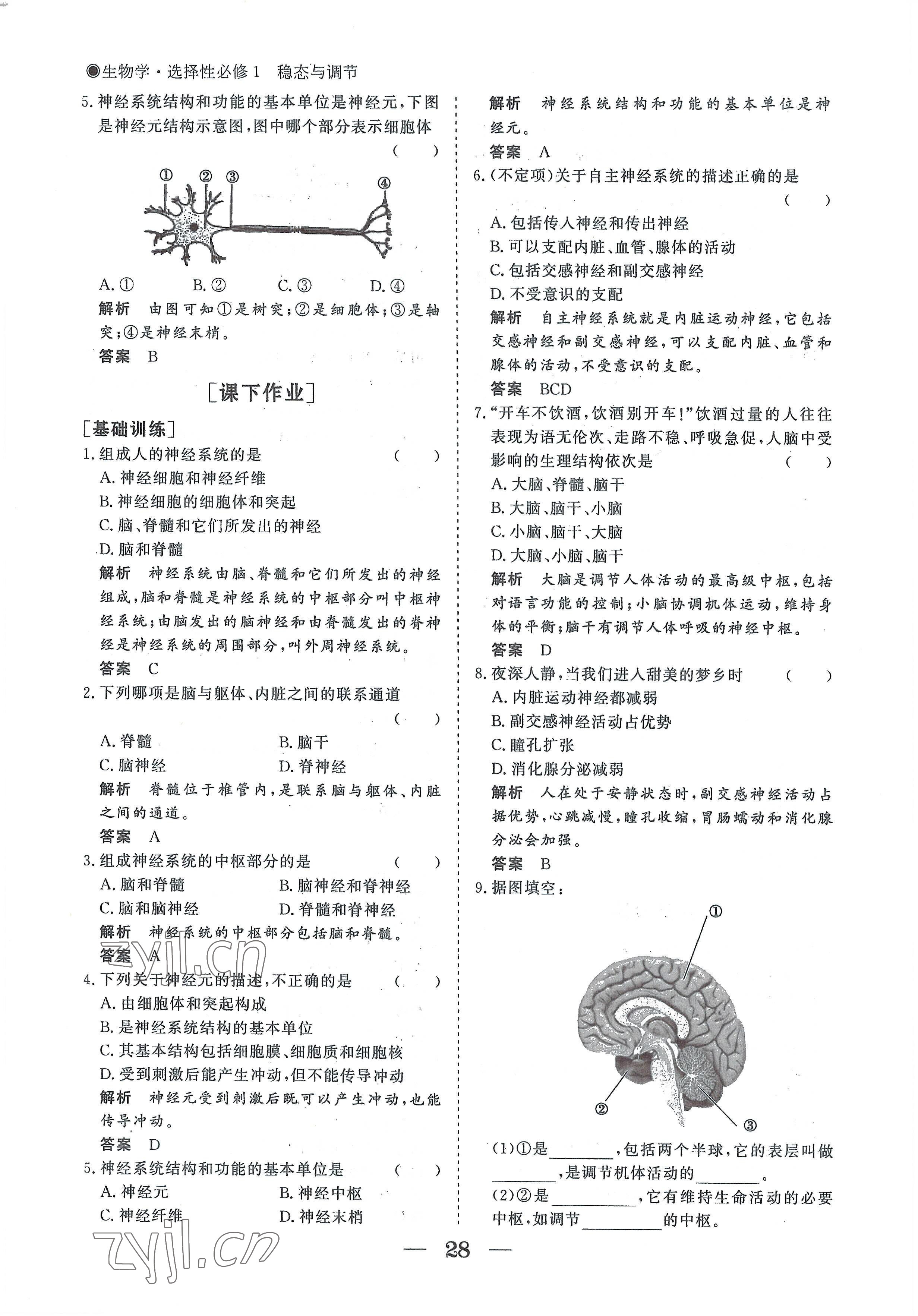 2022年高中导学测控优化设计方案生物选择性必修1人教版 参考答案第28页