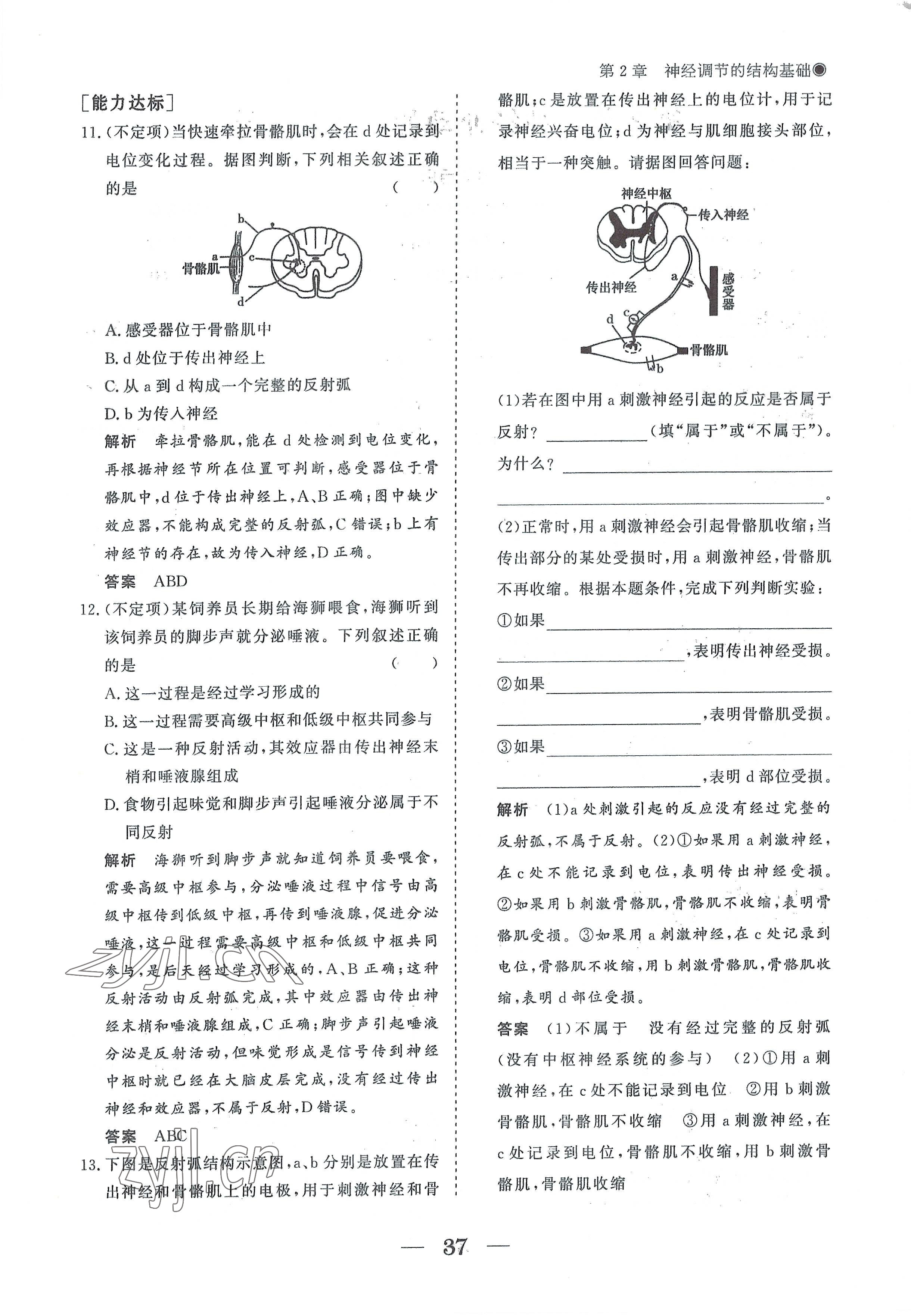 2022年高中導(dǎo)學(xué)測控優(yōu)化設(shè)計方案生物選擇性必修1人教版 參考答案第37頁