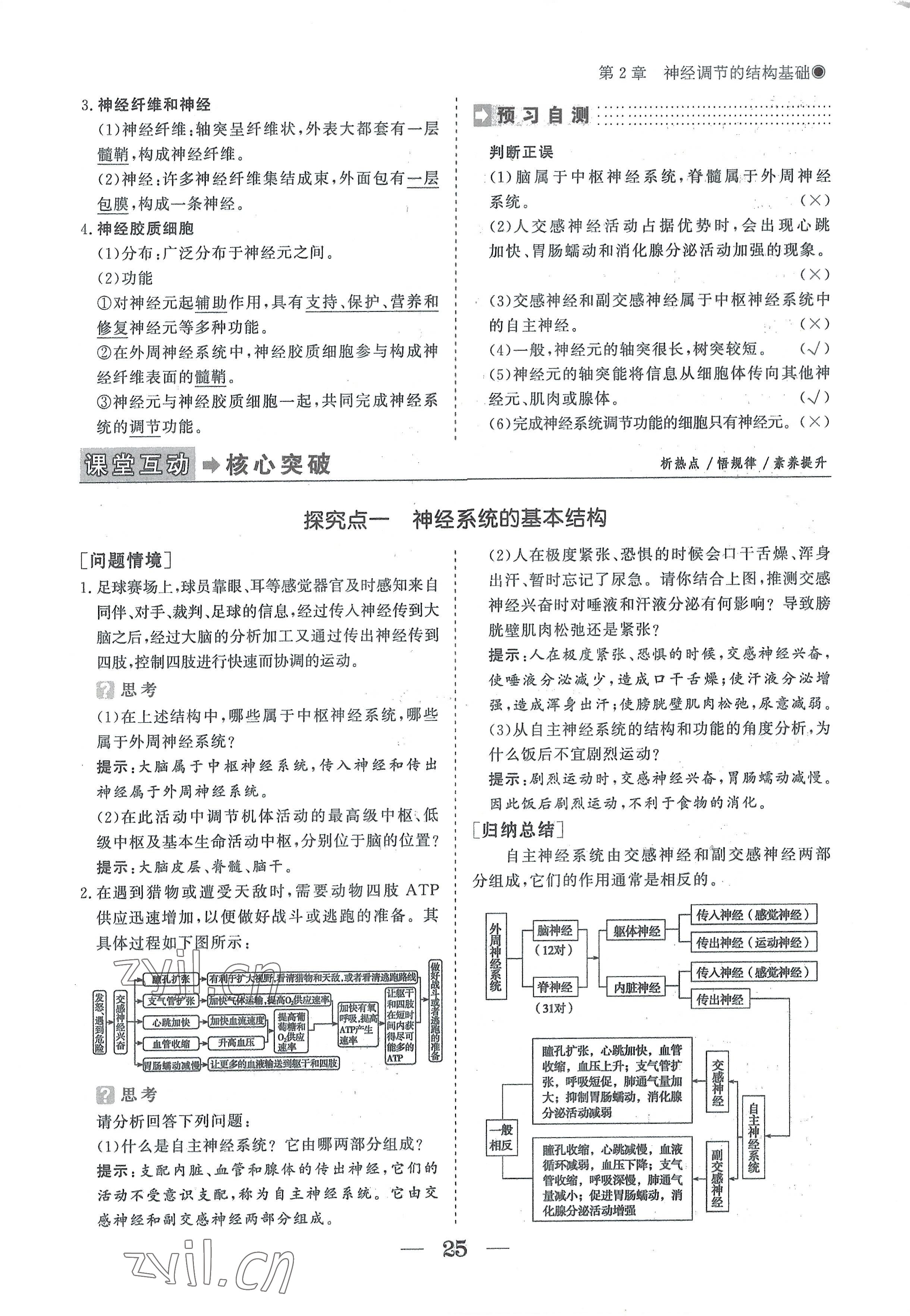 2022年高中導(dǎo)學(xué)測(cè)控優(yōu)化設(shè)計(jì)方案生物選擇性必修1人教版 參考答案第25頁(yè)