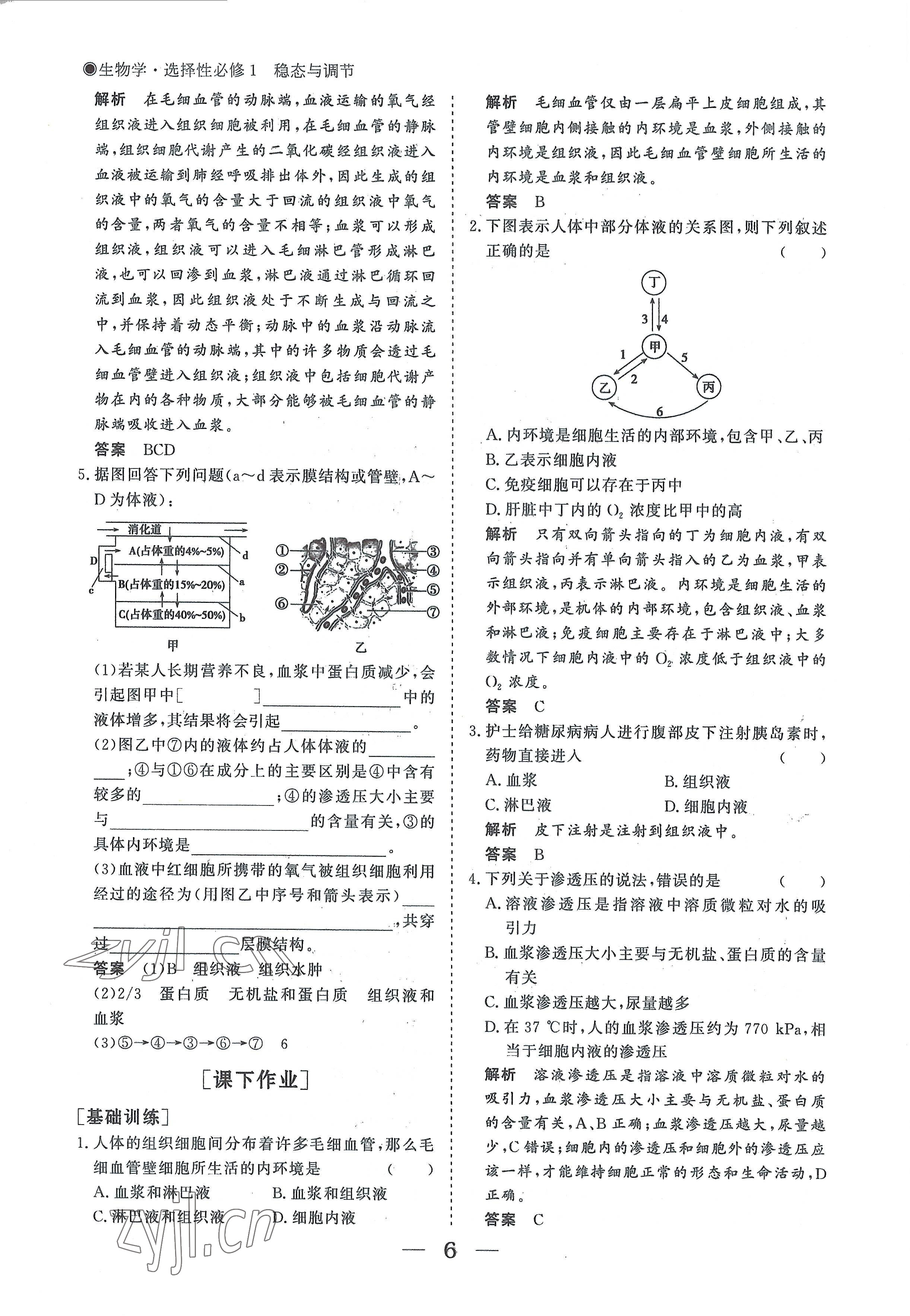 2022年高中導(dǎo)學(xué)測控優(yōu)化設(shè)計方案生物選擇性必修1人教版 參考答案第6頁