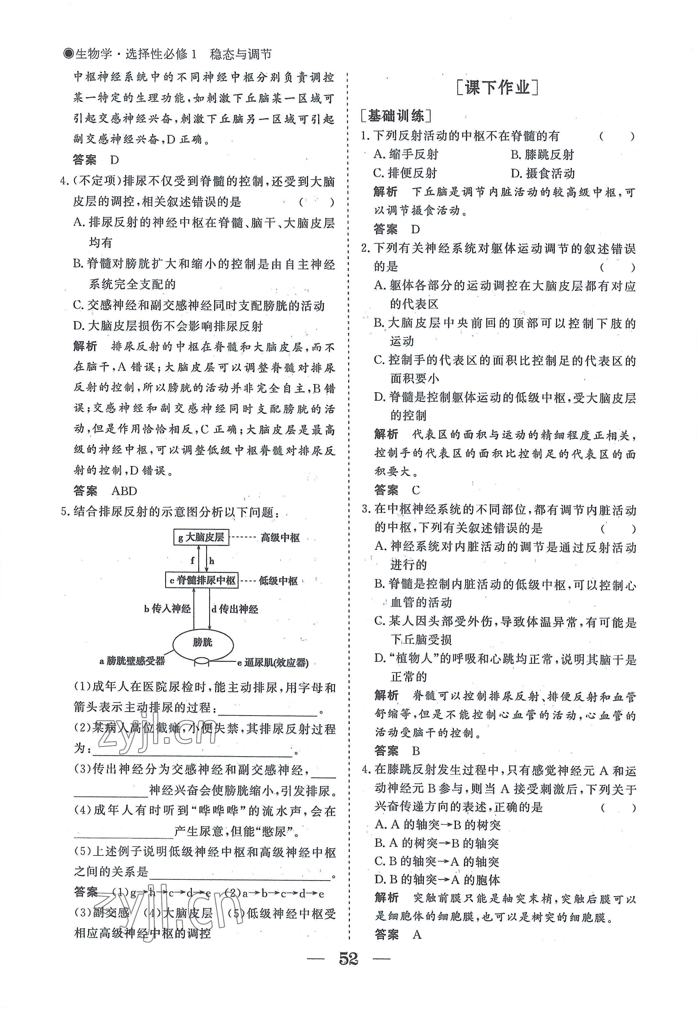 2022年高中導(dǎo)學(xué)測控優(yōu)化設(shè)計方案生物選擇性必修1人教版 參考答案第52頁