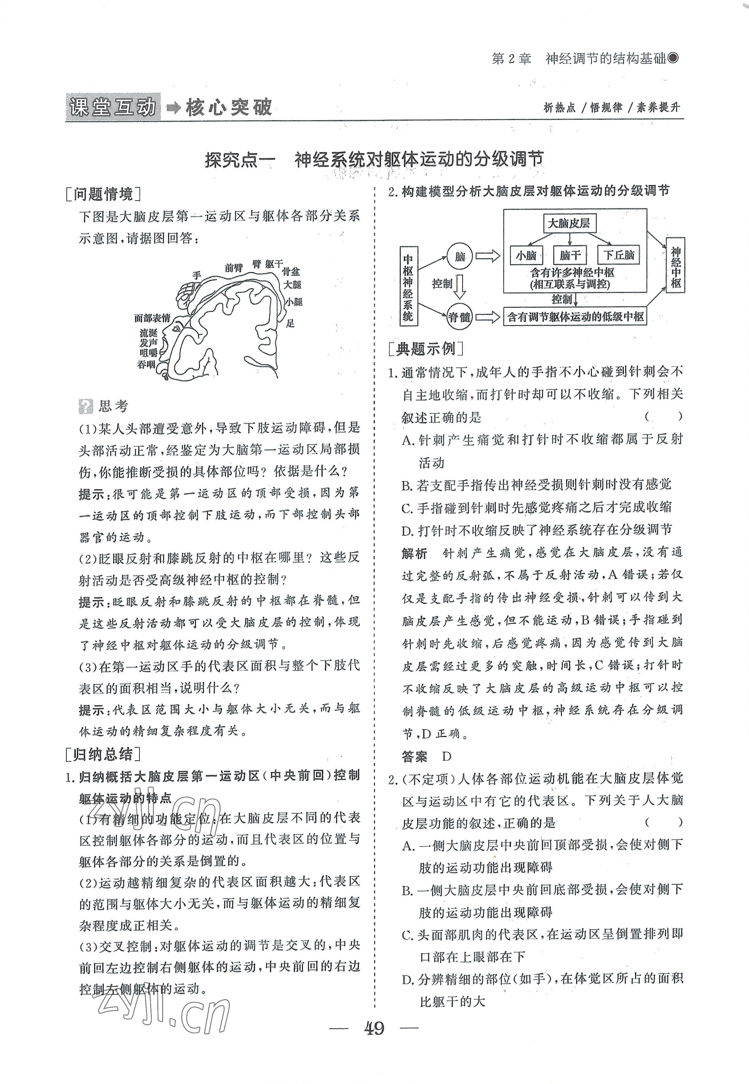 2022年高中導(dǎo)學(xué)測控優(yōu)化設(shè)計方案生物選擇性必修1人教版 參考答案第49頁