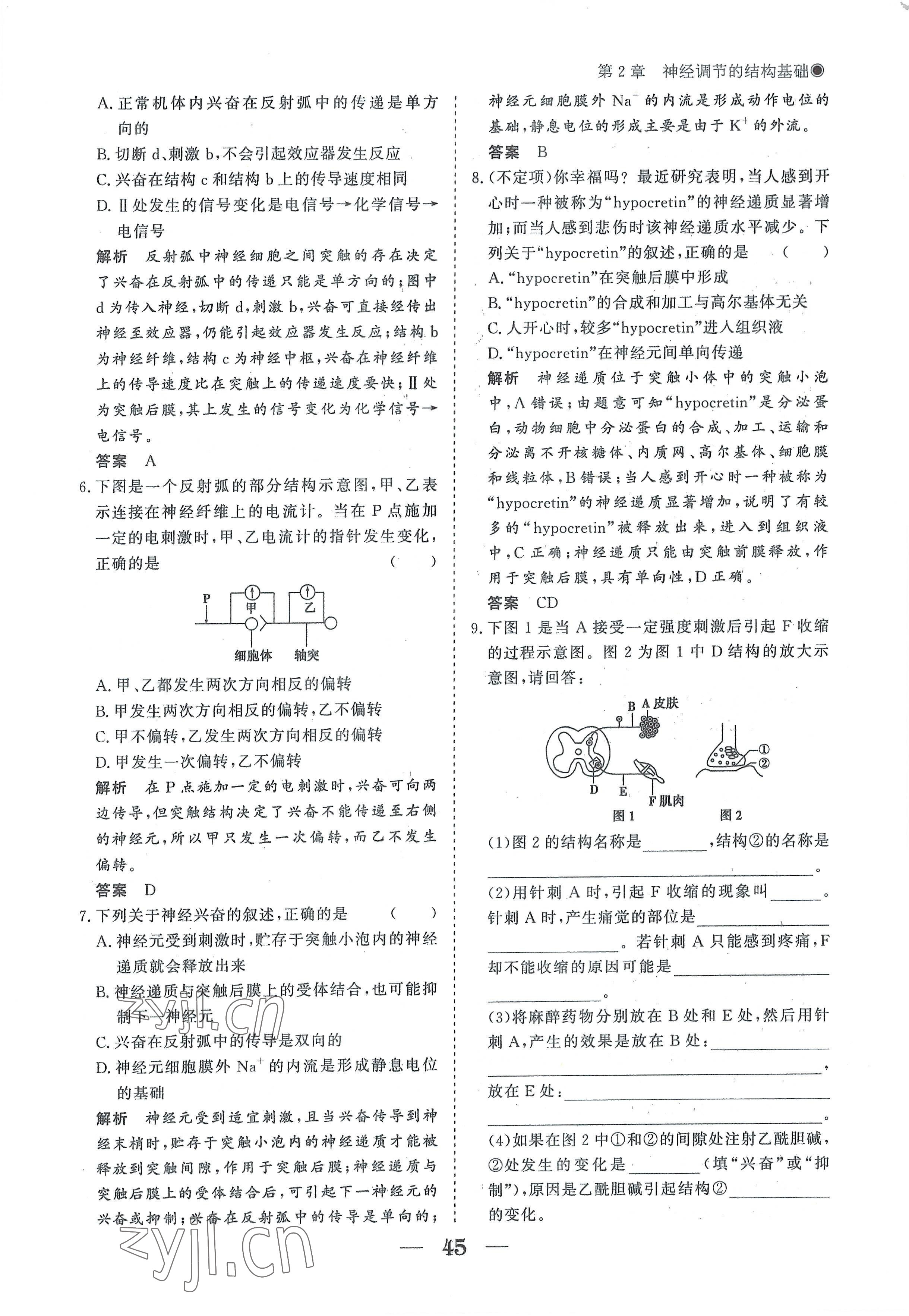 2022年高中導學測控優(yōu)化設(shè)計方案生物選擇性必修1人教版 參考答案第45頁