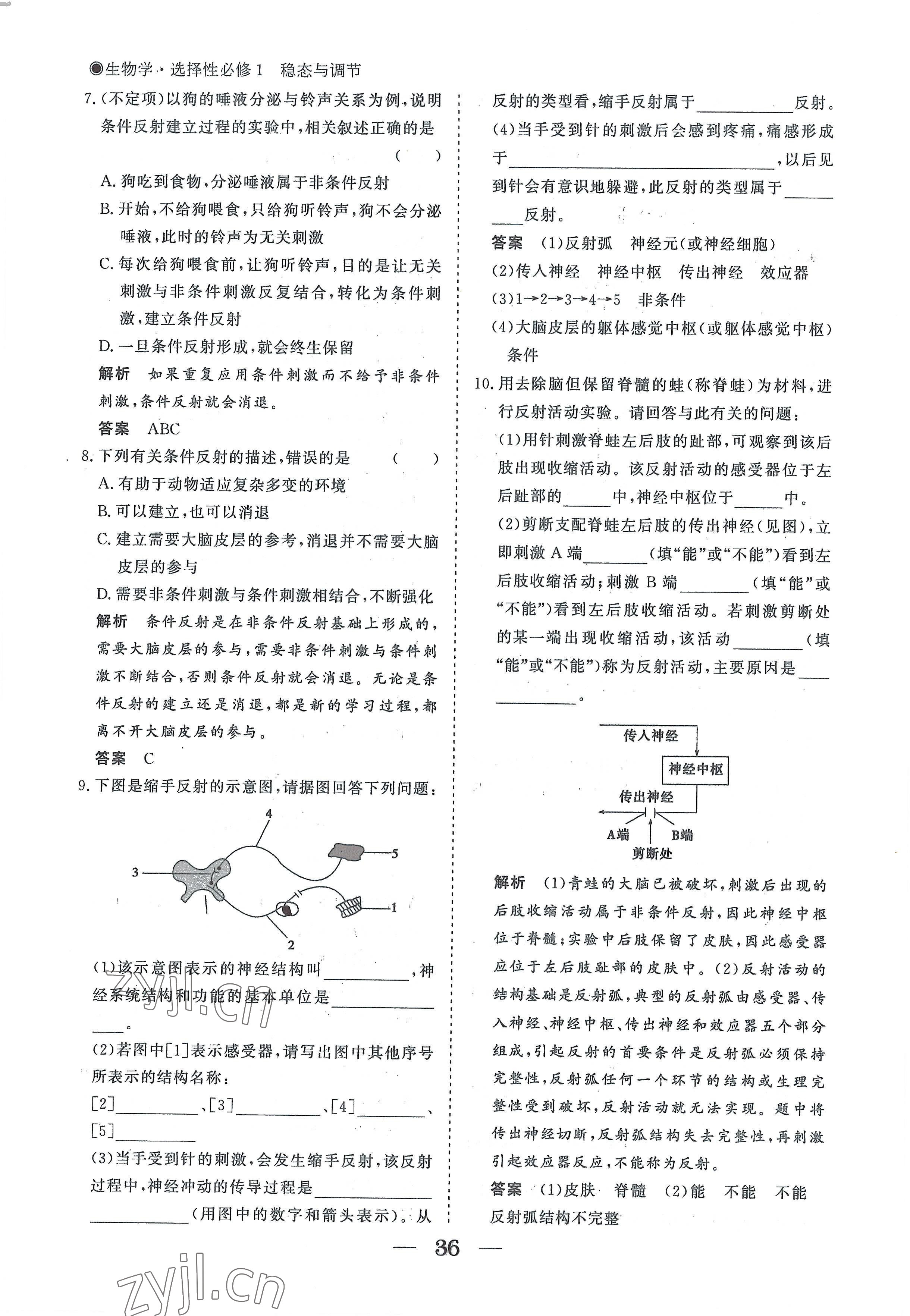 2022年高中導(dǎo)學(xué)測控優(yōu)化設(shè)計(jì)方案生物選擇性必修1人教版 參考答案第36頁