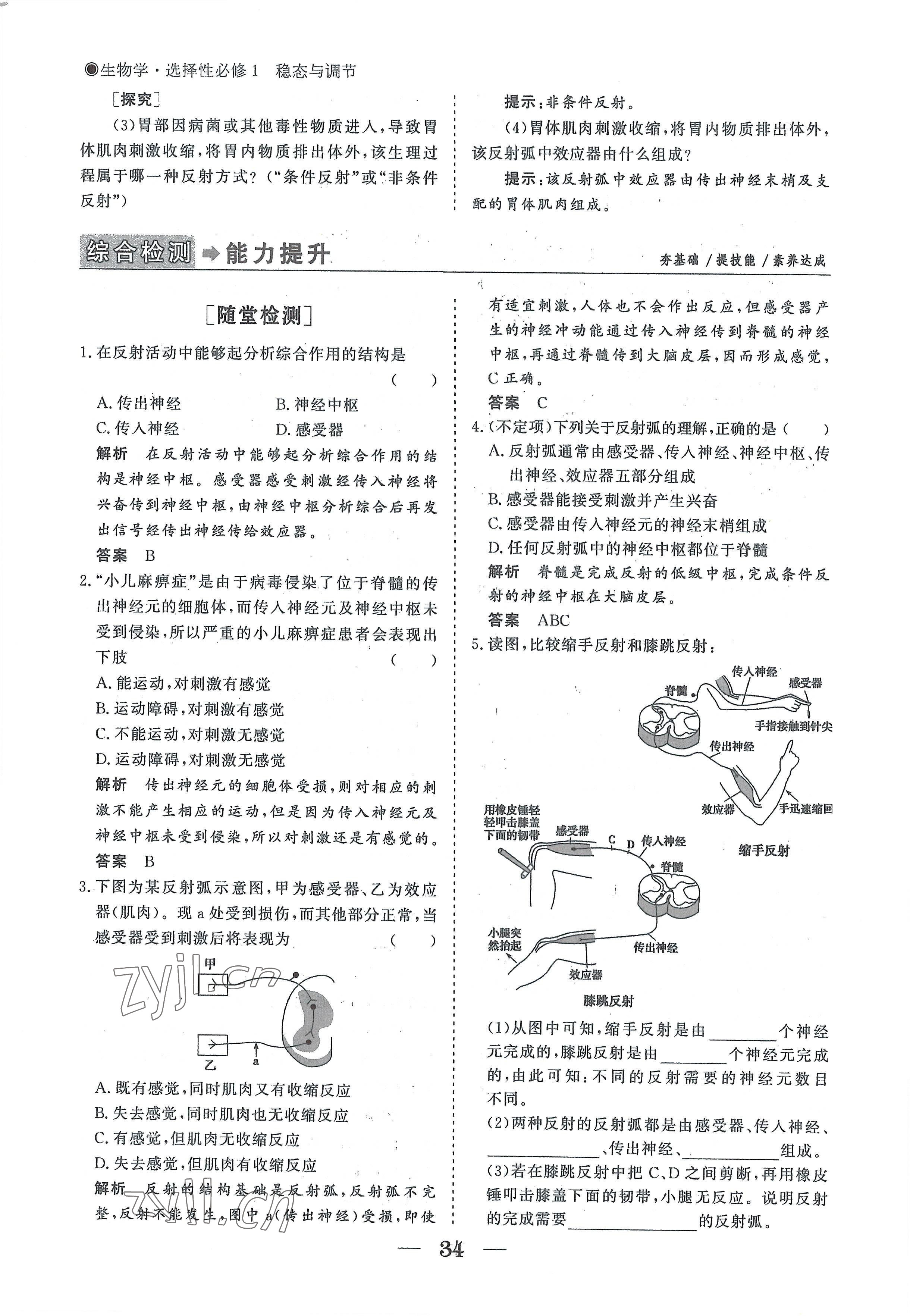 2022年高中導(dǎo)學(xué)測控優(yōu)化設(shè)計方案生物選擇性必修1人教版 參考答案第34頁