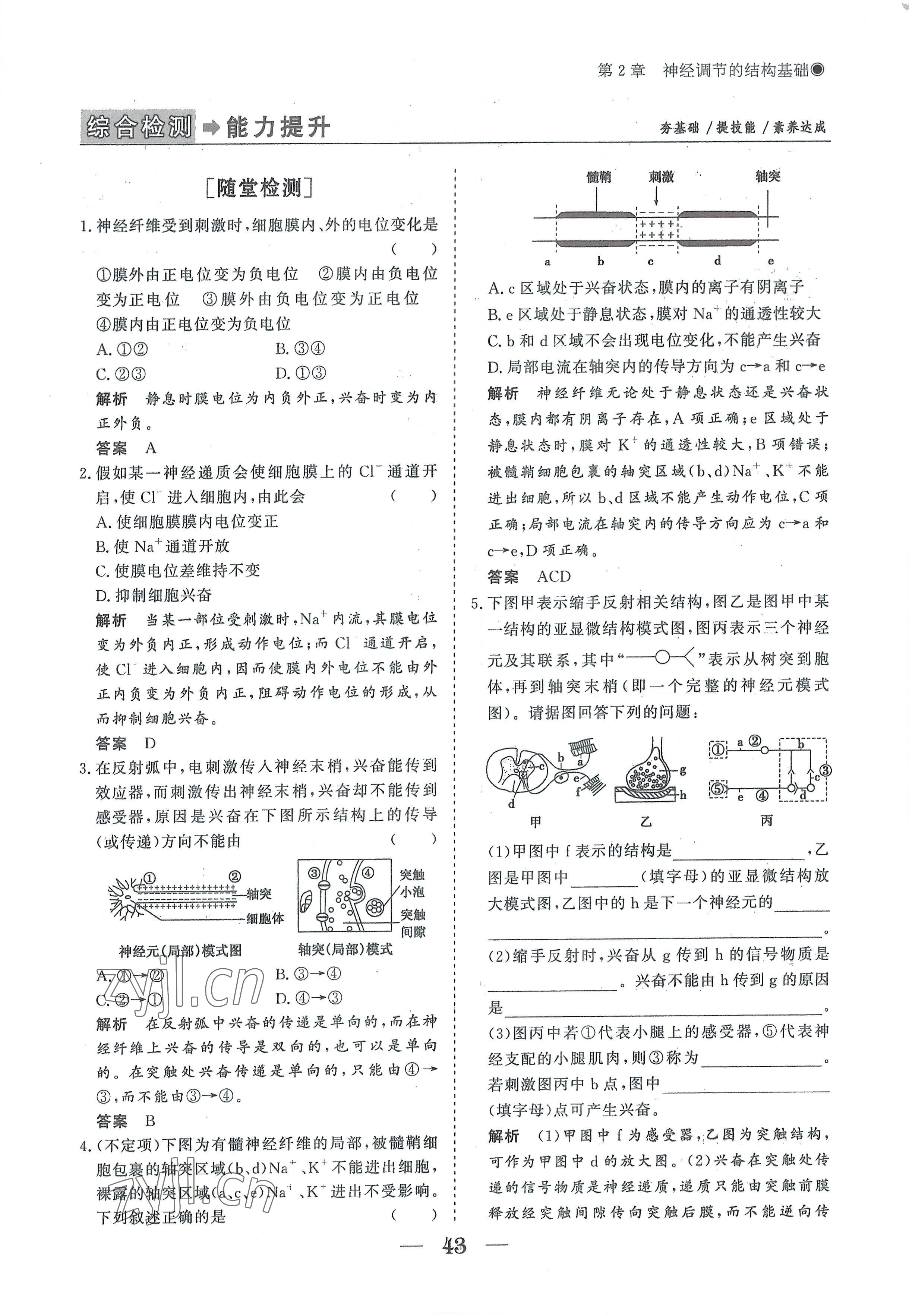 2022年高中導學測控優(yōu)化設計方案生物選擇性必修1人教版 參考答案第43頁