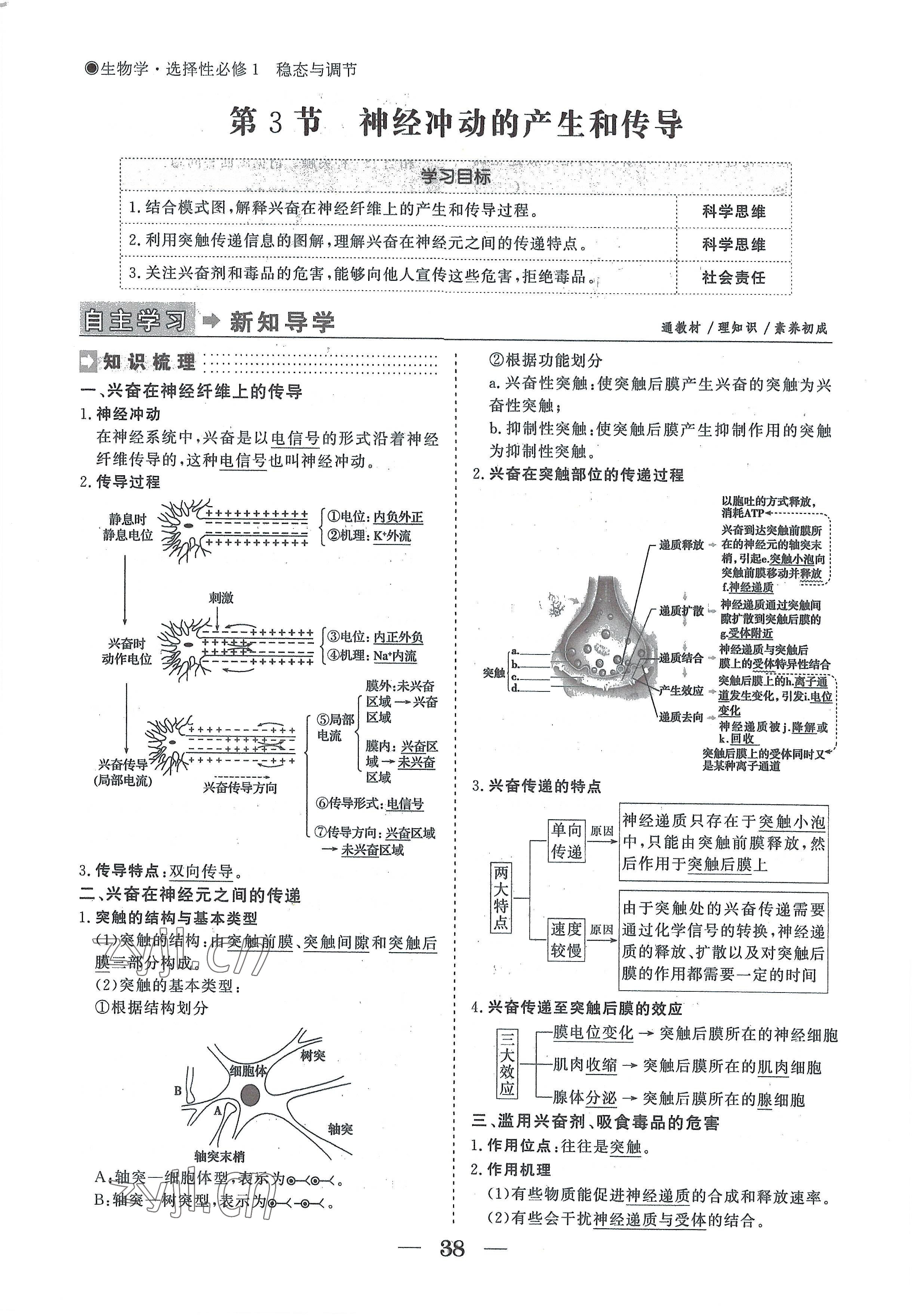 2022年高中导学测控优化设计方案生物选择性必修1人教版 参考答案第38页