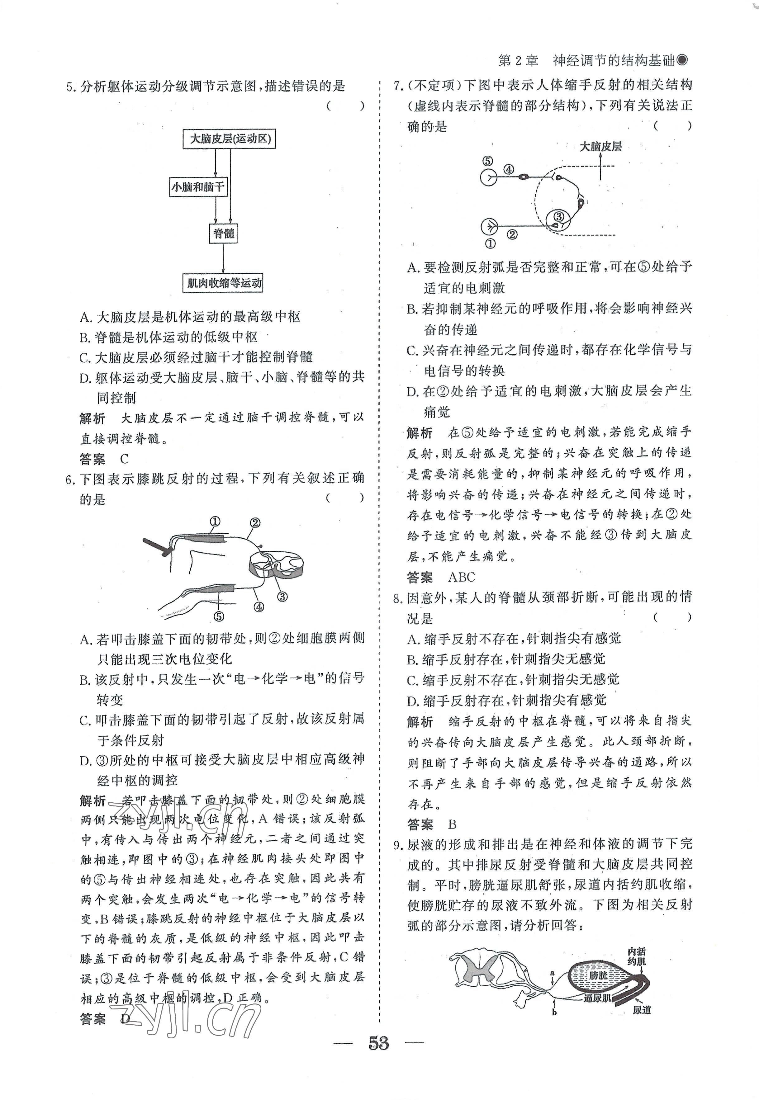 2022年高中導(dǎo)學(xué)測控優(yōu)化設(shè)計方案生物選擇性必修1人教版 參考答案第53頁