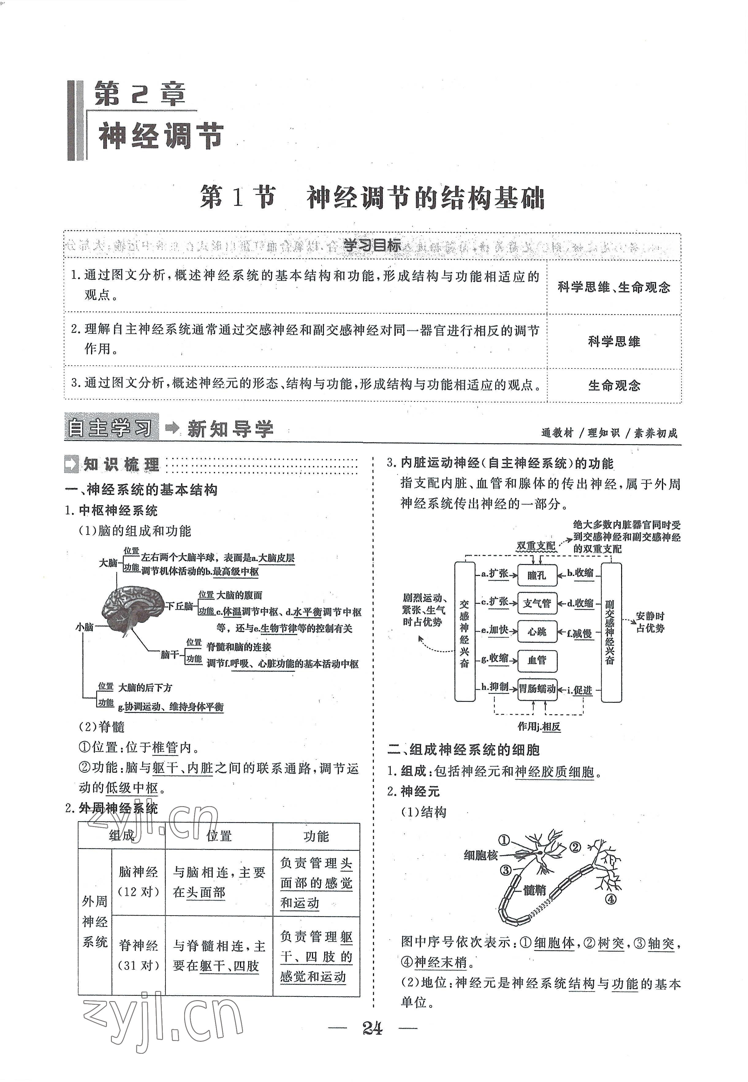 2022年高中導學測控優(yōu)化設計方案生物選擇性必修1人教版 參考答案第24頁