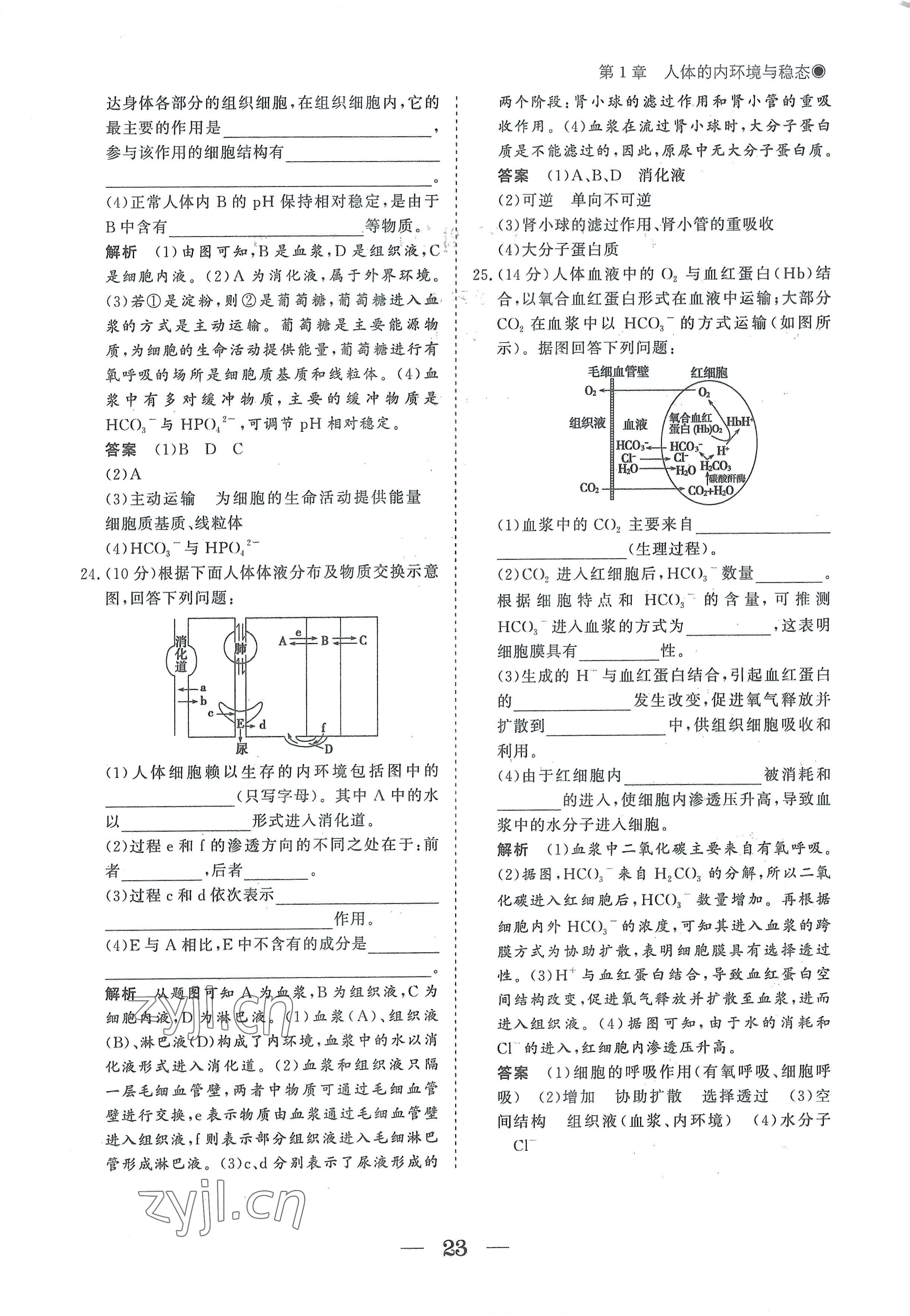 2022年高中導(dǎo)學(xué)測控優(yōu)化設(shè)計(jì)方案生物選擇性必修1人教版 參考答案第23頁