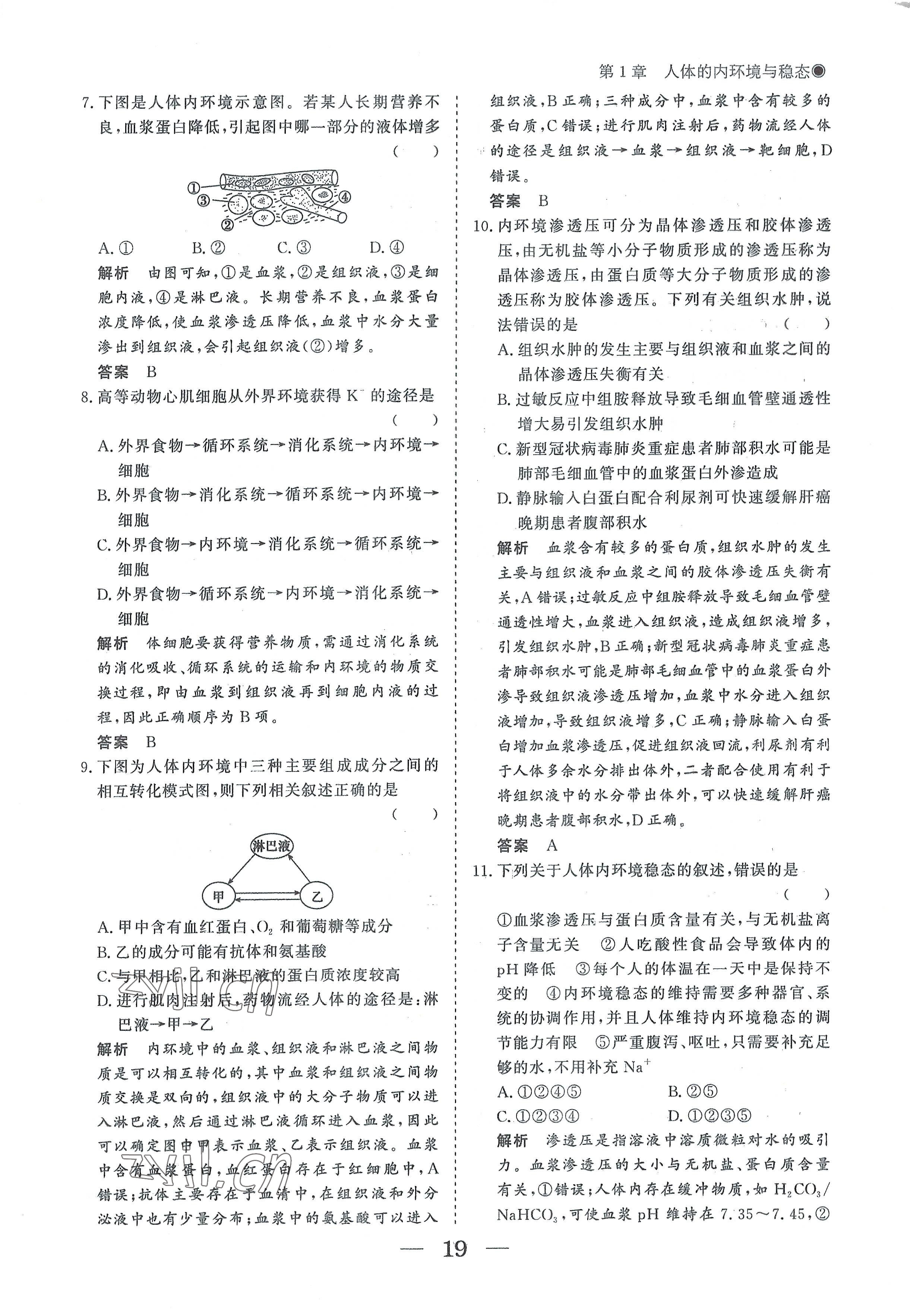 2022年高中導(dǎo)學(xué)測控優(yōu)化設(shè)計方案生物選擇性必修1人教版 參考答案第19頁