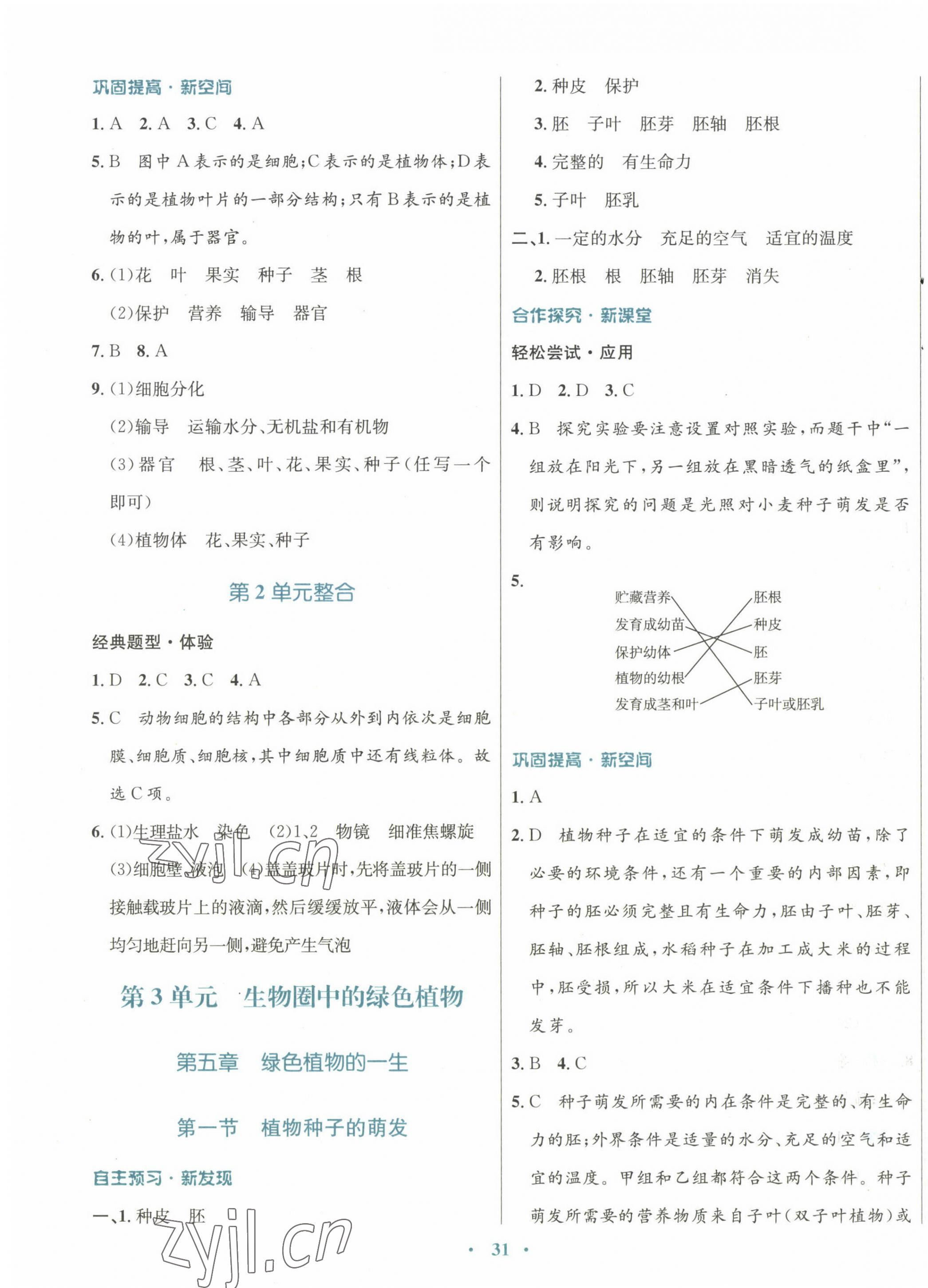 2022年南方新課堂金牌學(xué)案七年級生物上冊蘇教版 參考答案第7頁