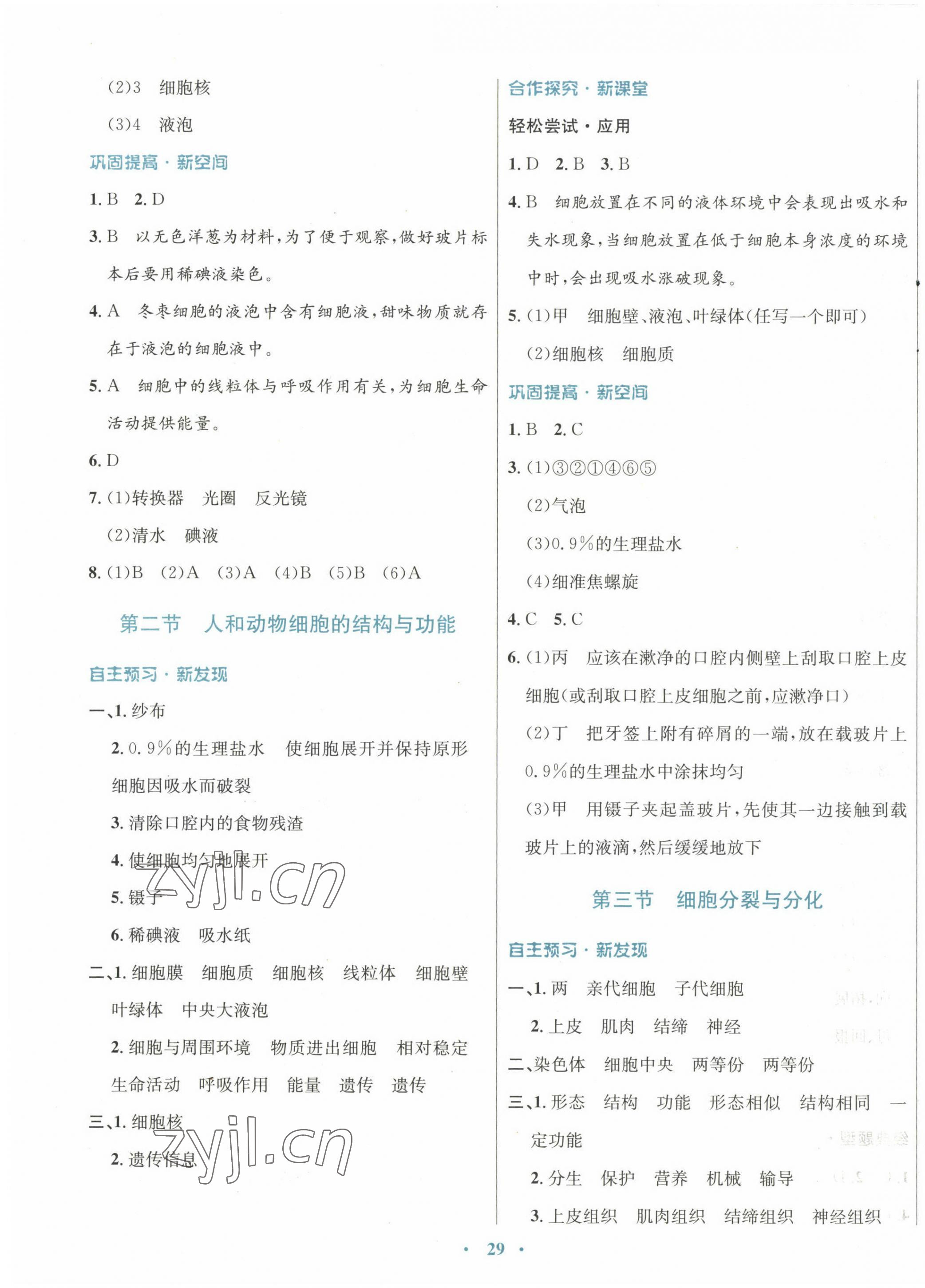 2022年南方新课堂金牌学案七年级生物上册苏教版 参考答案第5页