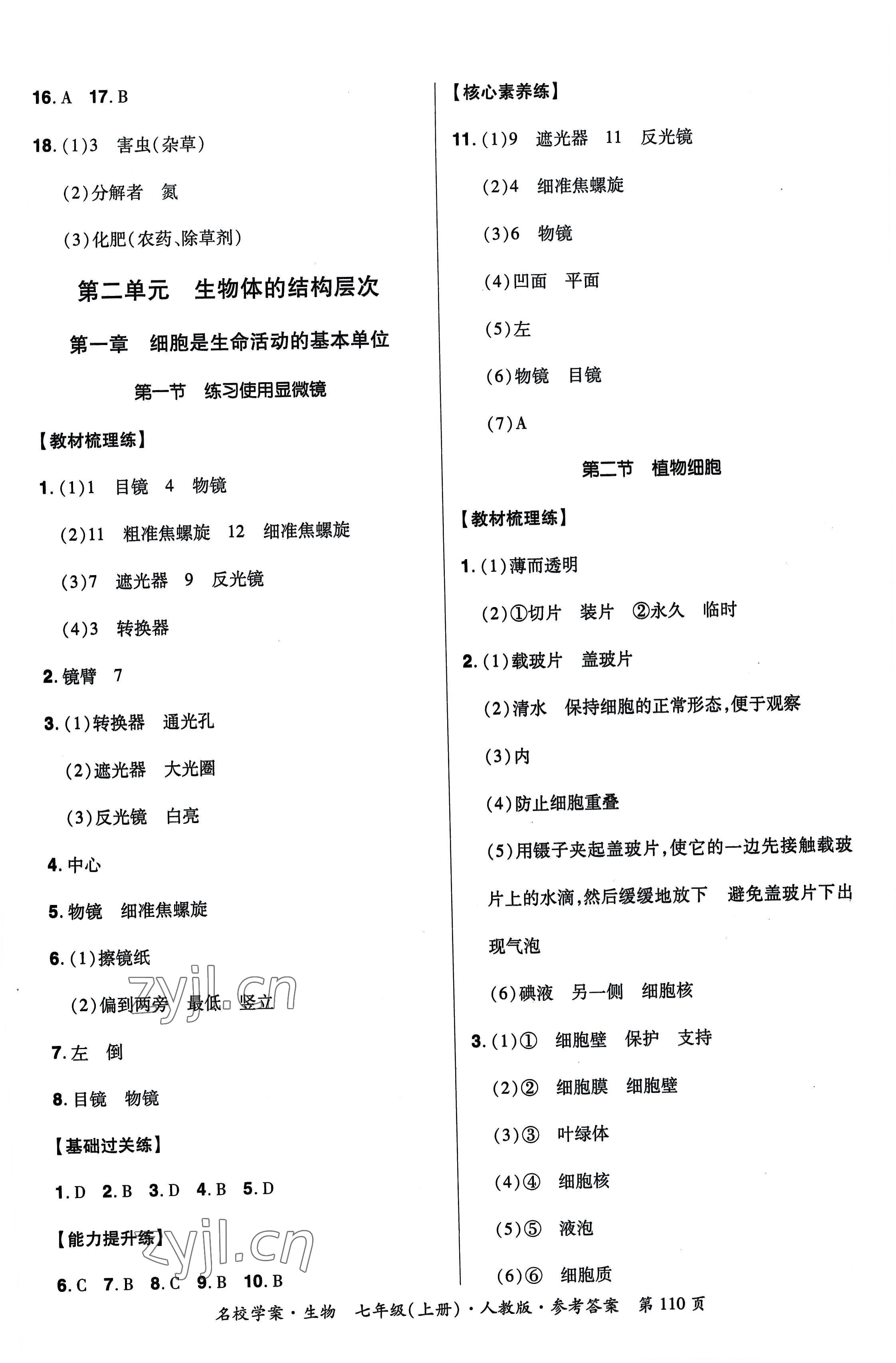 2022年名校學(xué)案七年級生物上冊人教版 第4頁