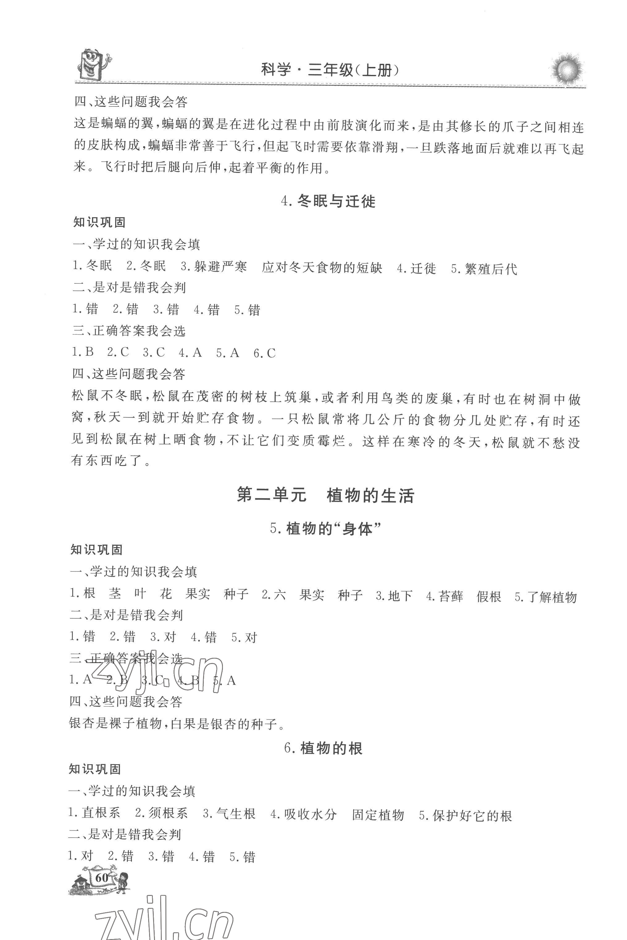 2022年名師導學伴你行科學同步練習三年級上冊教科版 第2頁