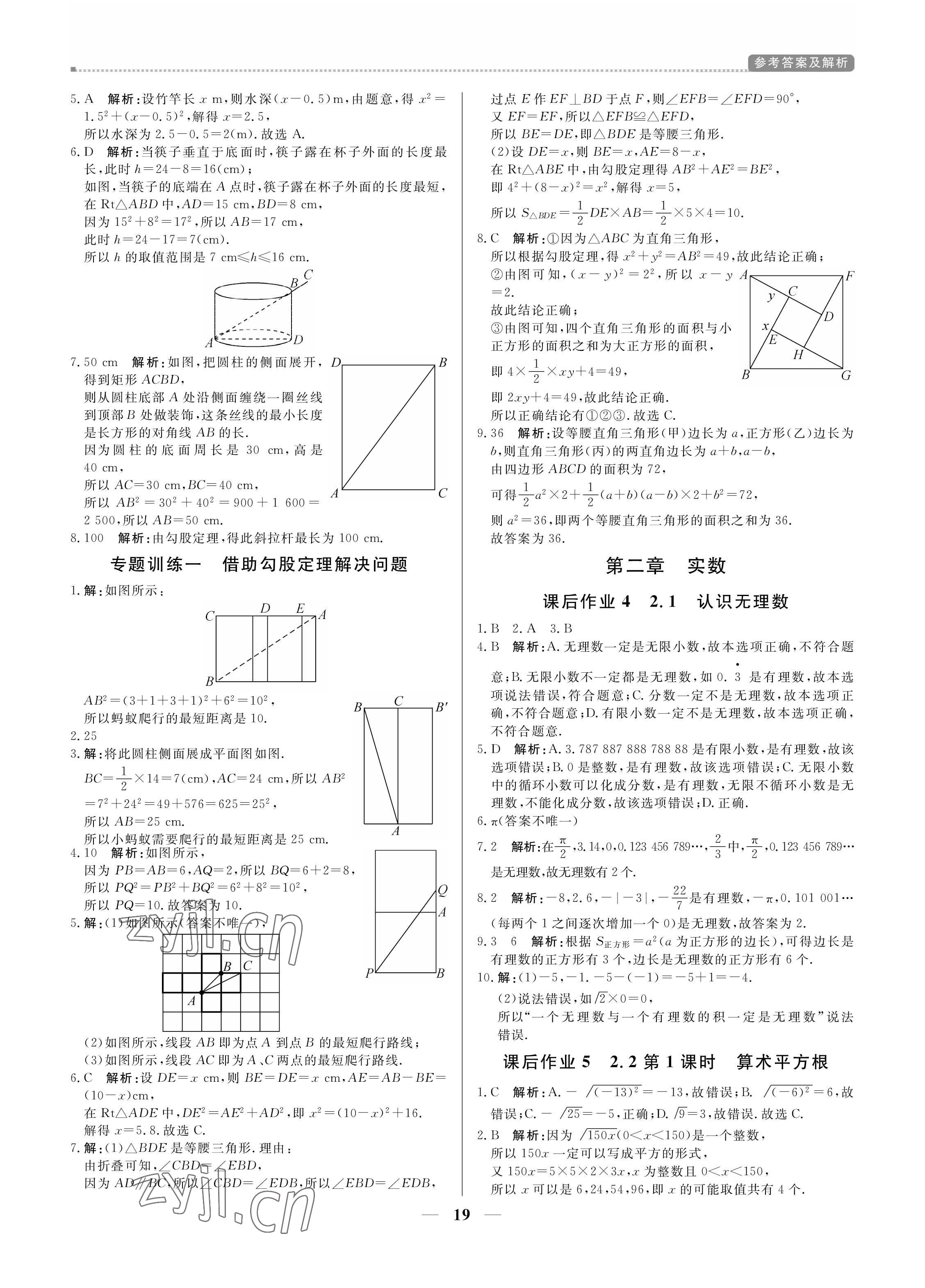 2022年提分教練八年級(jí)數(shù)學(xué)上冊(cè)北師大版 第19頁(yè)