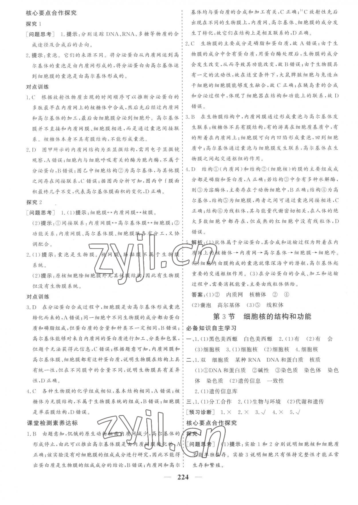 2022年優(yōu)化探究同步導學案高中生物必修1人教版 參考答案第10頁