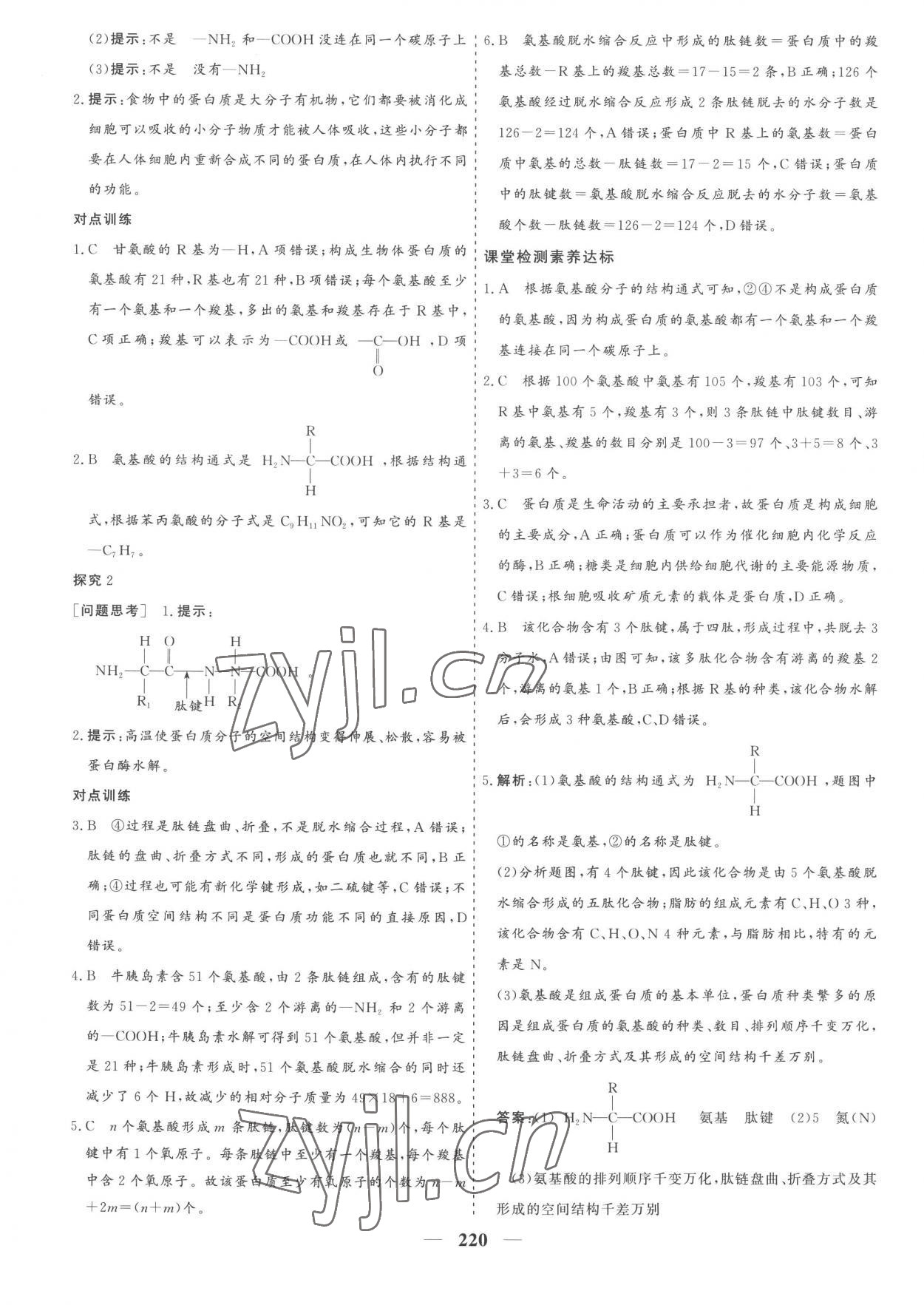 2022年優(yōu)化探究同步導(dǎo)學(xué)案高中生物必修1人教版 參考答案第6頁