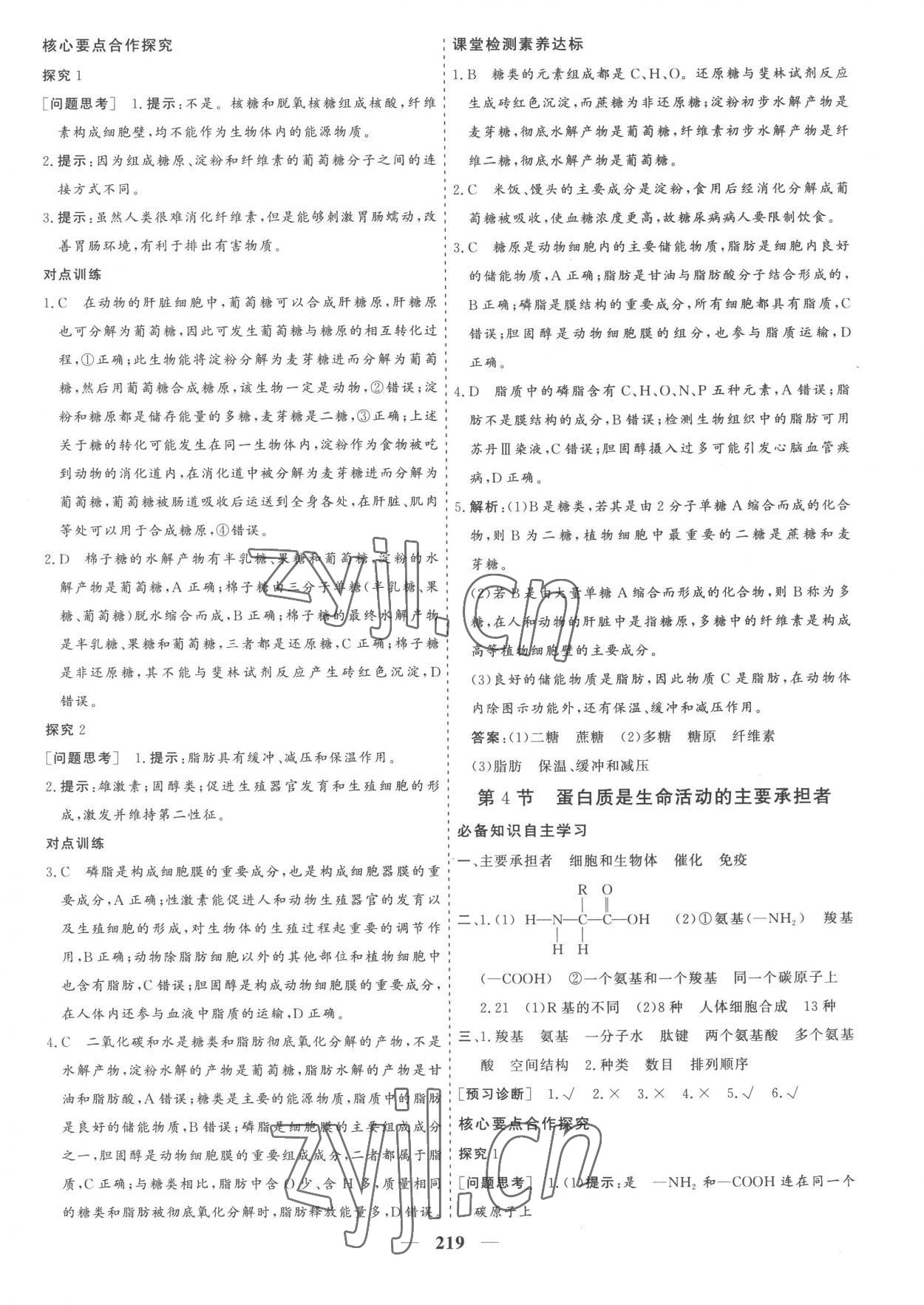 2022年優(yōu)化探究同步導(dǎo)學(xué)案高中生物必修1人教版 參考答案第5頁