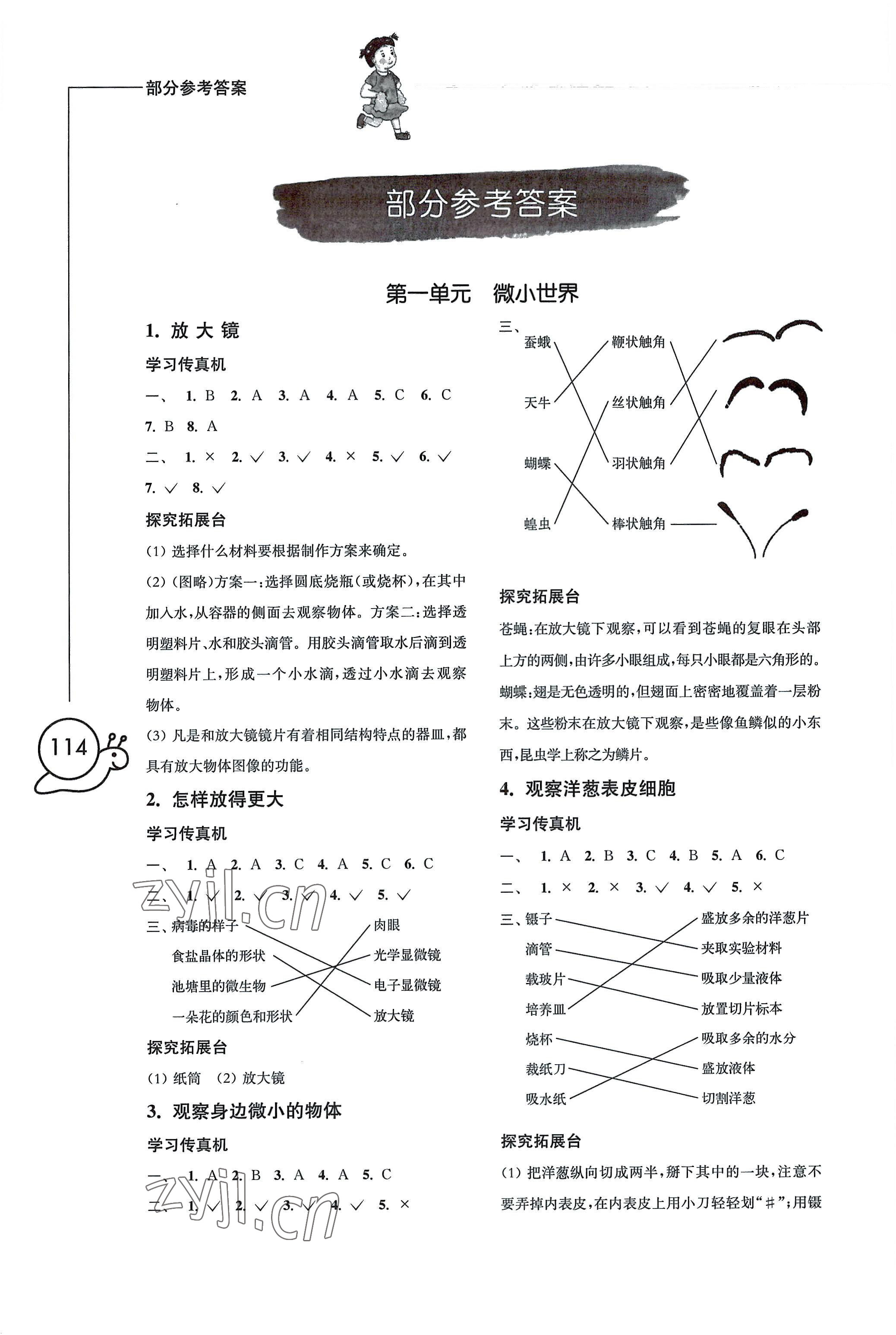 2022年小學科學習作六年級上冊教科版 參考答案第1頁