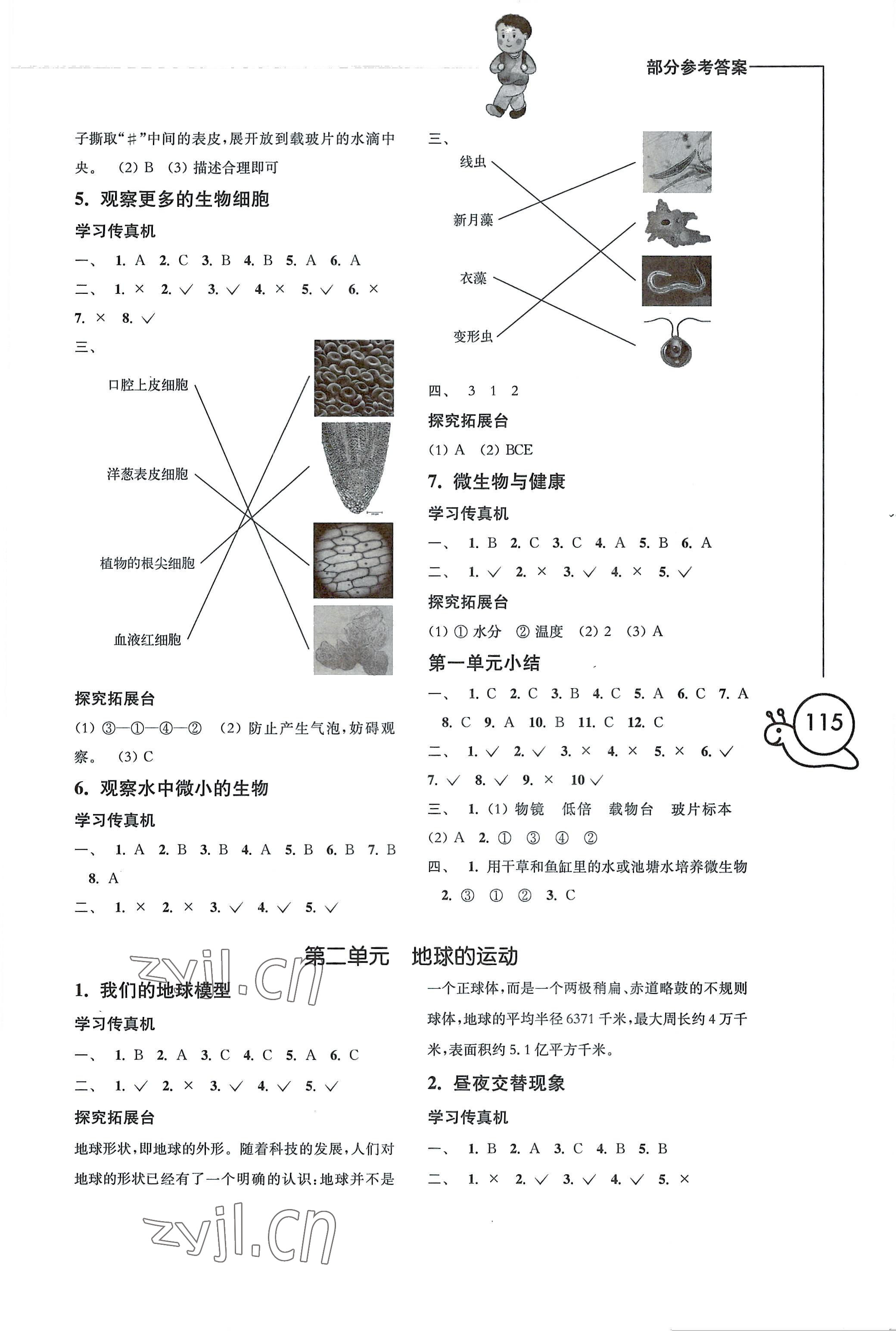 2022年小學(xué)科學(xué)習(xí)作六年級上冊教科版 參考答案第2頁