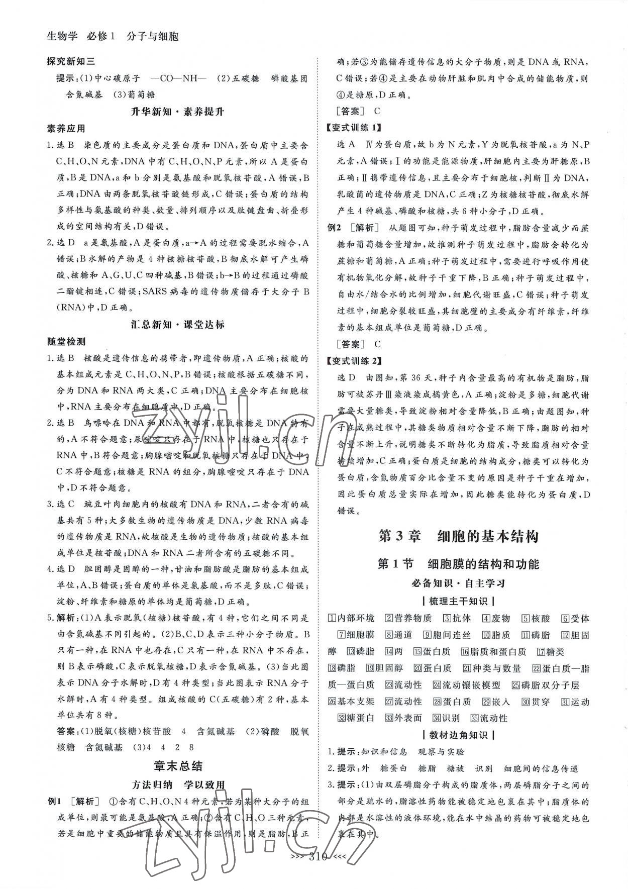 2022年新課程新設(shè)計(jì)名師同步導(dǎo)學(xué)高中生物必修1人教版 第10頁