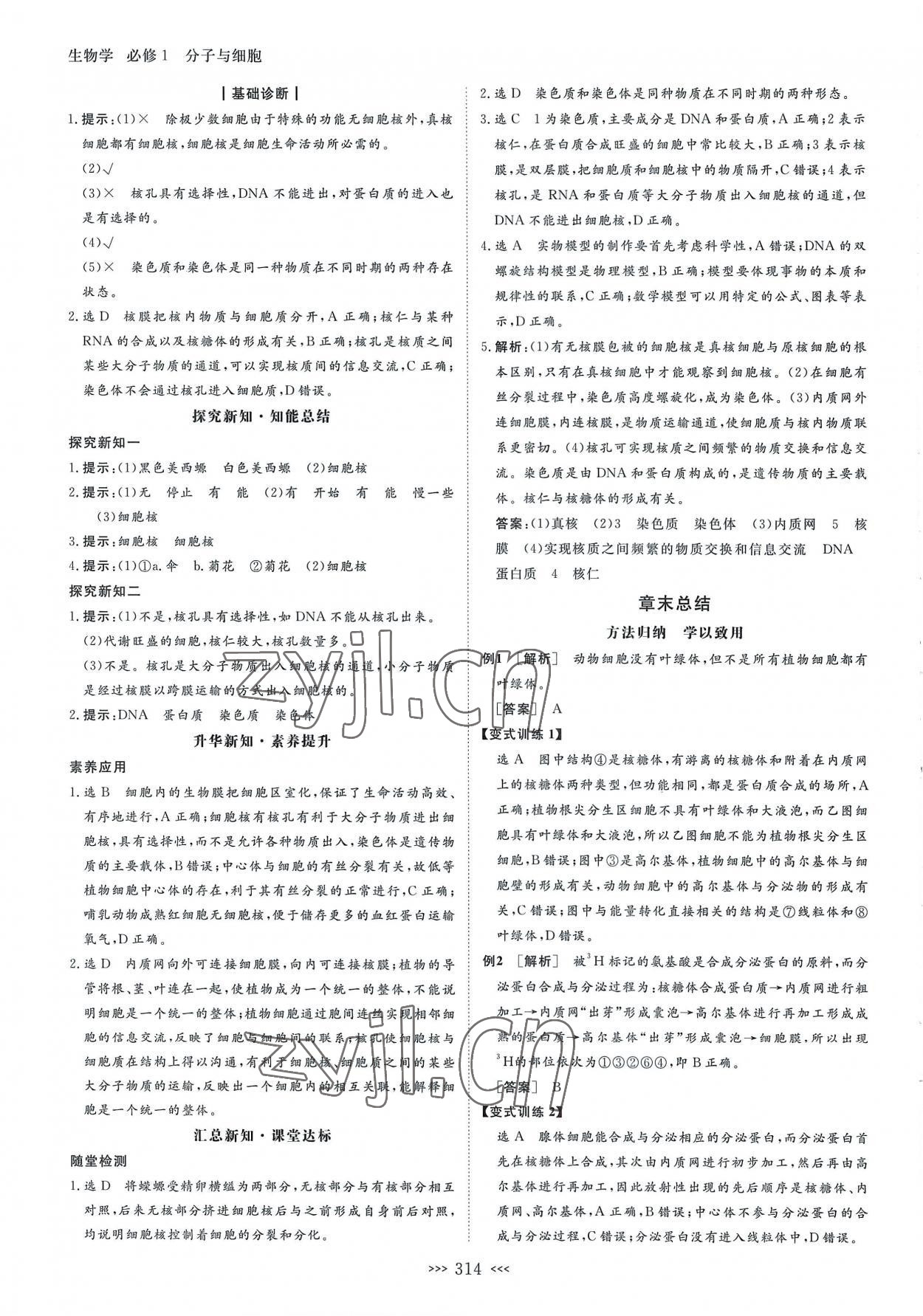 2022年新課程新設(shè)計(jì)名師同步導(dǎo)學(xué)高中生物必修1人教版 第14頁(yè)