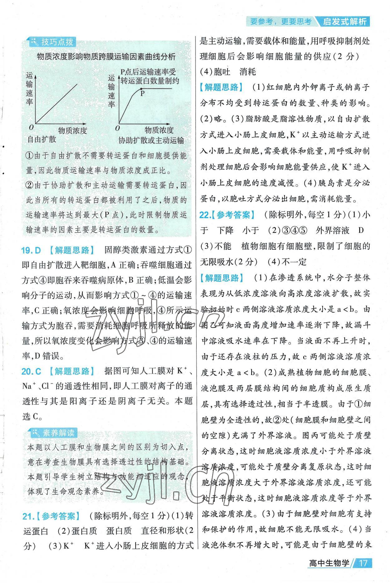 2022年金考卷活頁(yè)題選高中生物必修1人教版 第17頁(yè)