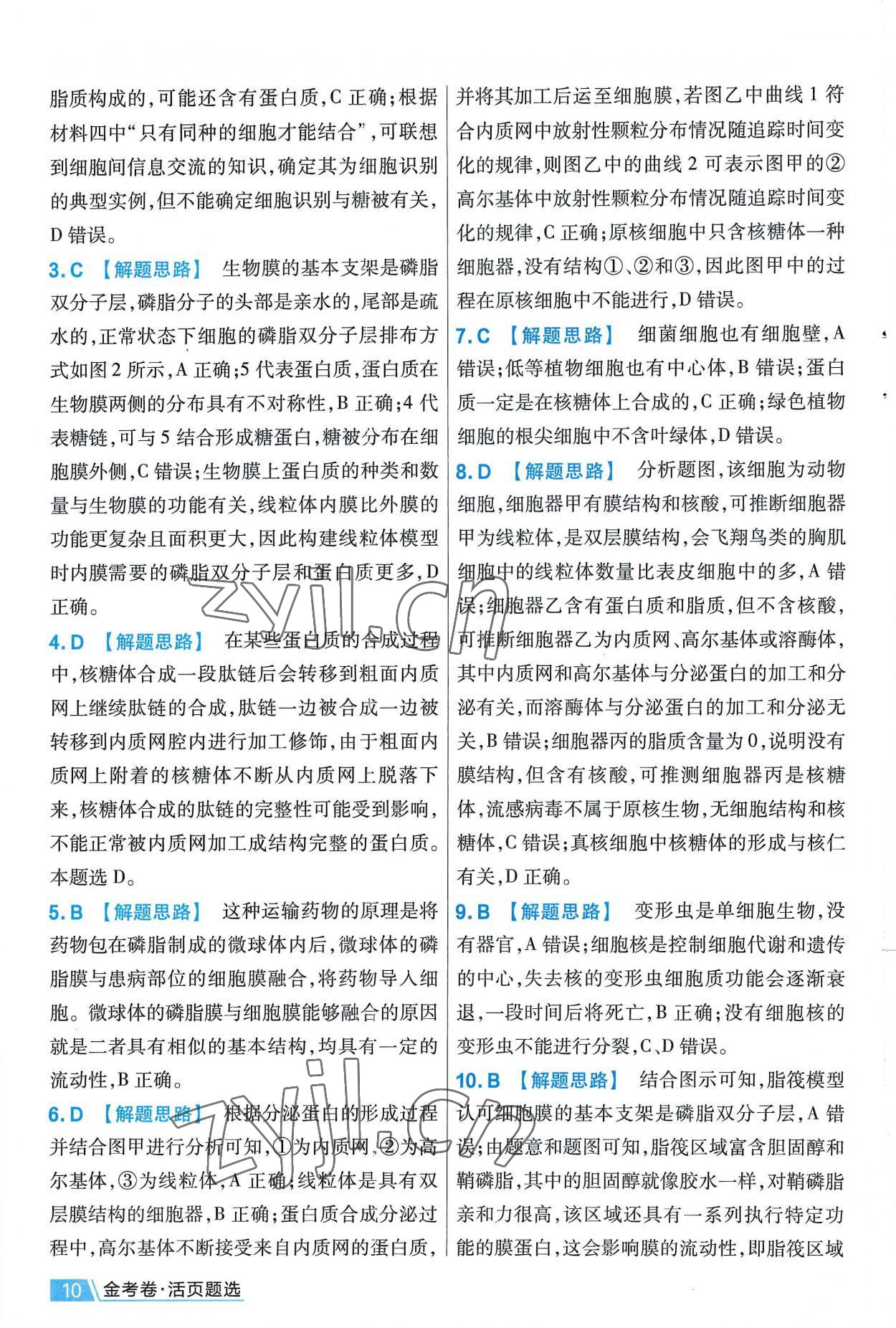 2022年金考卷活頁題選高中生物必修1人教版 第10頁