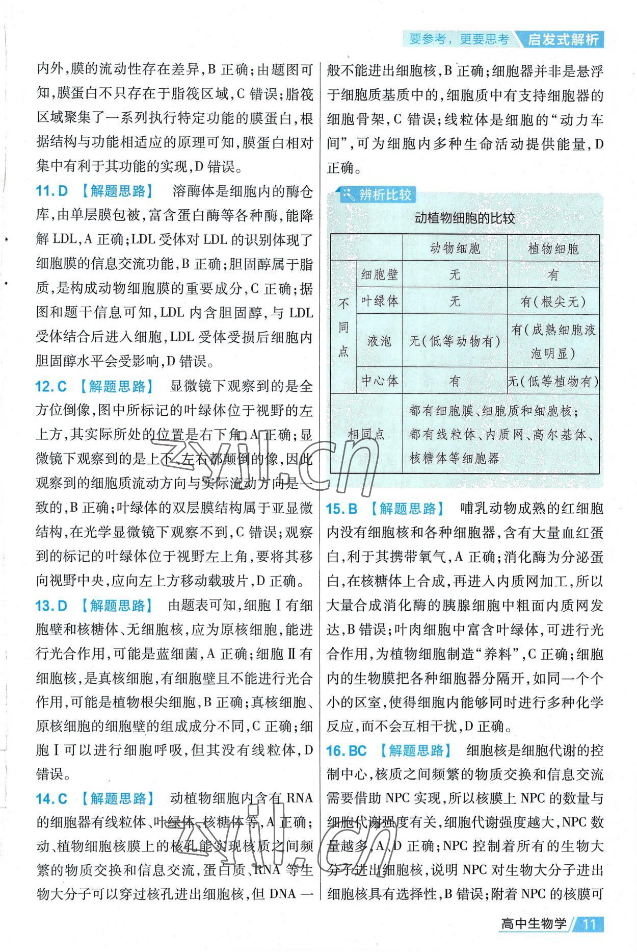 2022年金考卷活頁(yè)題選高中生物必修1人教版 第11頁(yè)