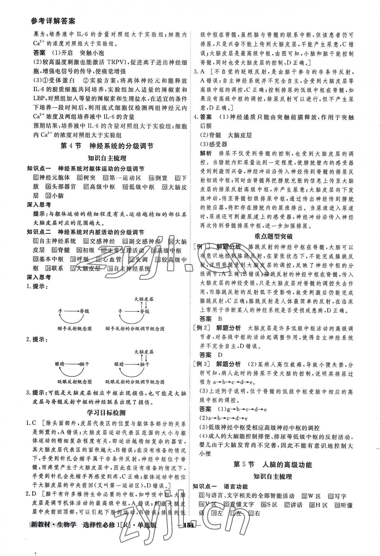 2022年金版教程高中新課程創(chuàng)新導學案高中生物選擇性必修1人教版 參考答案第6頁