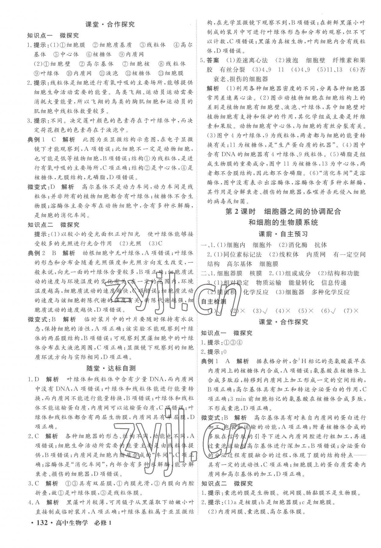 2022年贏在微點高中生物必修1人教版 第8頁