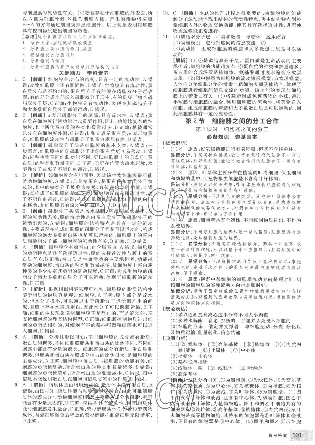 2022年全品智能作业高中生物必修1人教版 第11页