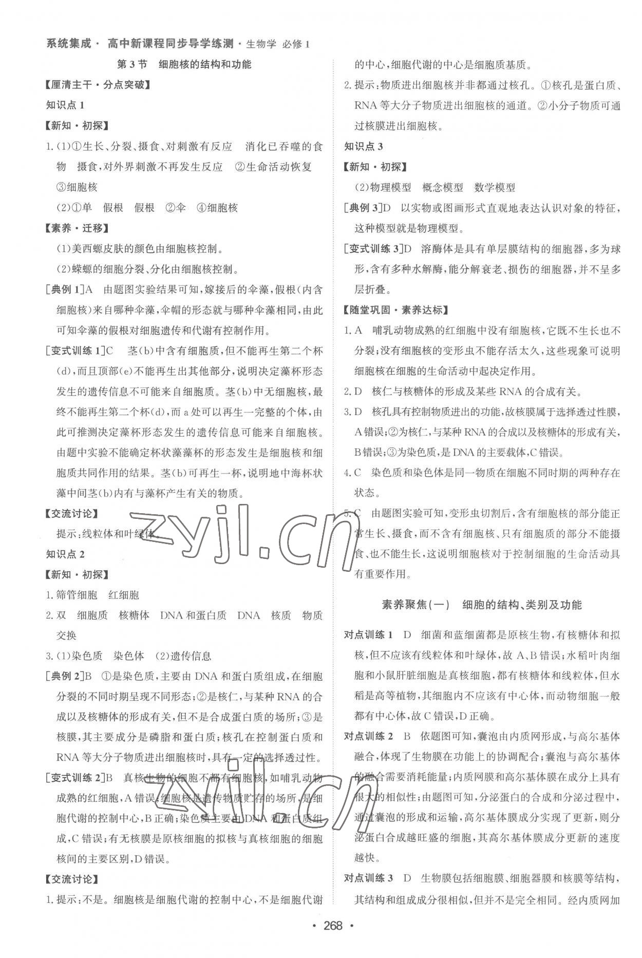 2022年系統(tǒng)集成新課程同步導學練測高中生物必修1人教版 參考答案第10頁