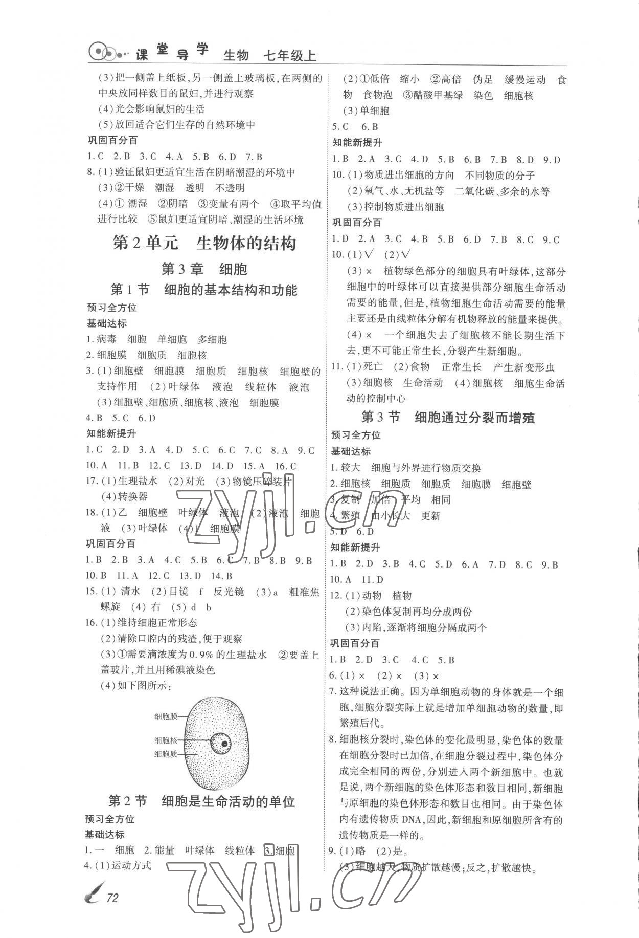 2022年課堂導(dǎo)學(xué)七年級(jí)生物上冊(cè)北師大版 第2頁