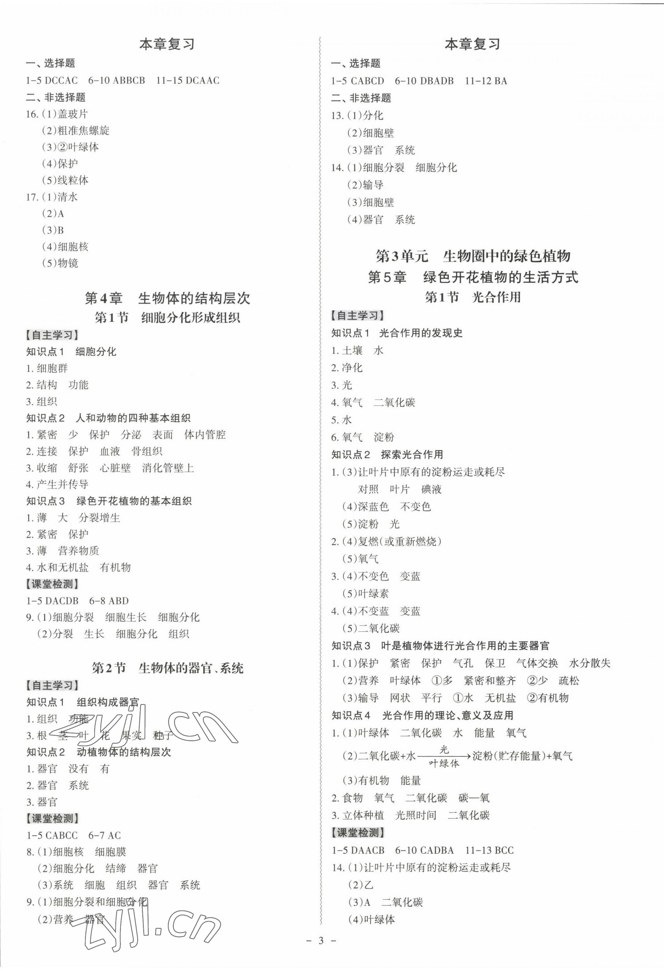 2022年同步沖刺七年級生物上冊北師大版 第3頁