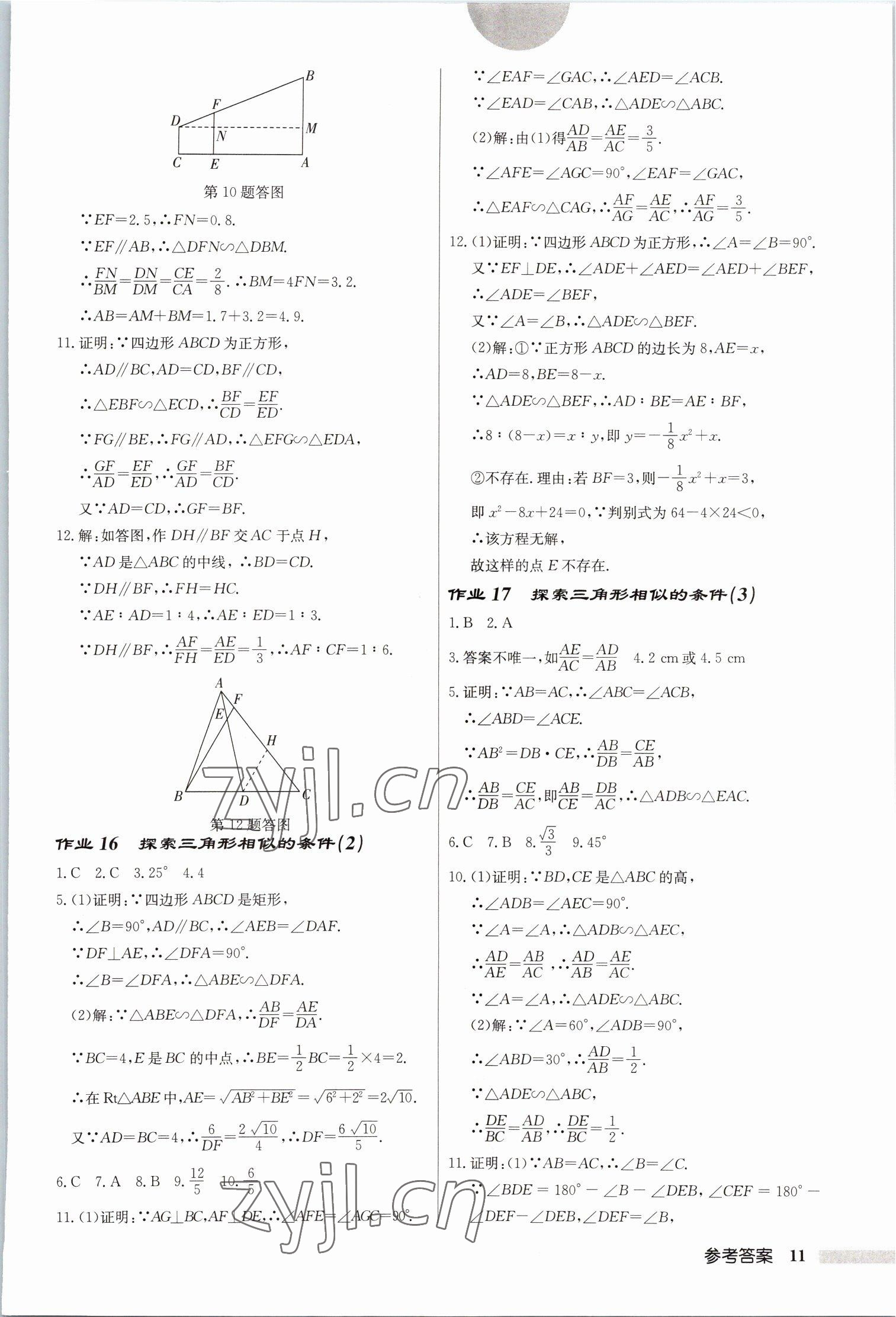 2023年启东中学作业本九年级数学下册苏科版宿迁专版 第11页