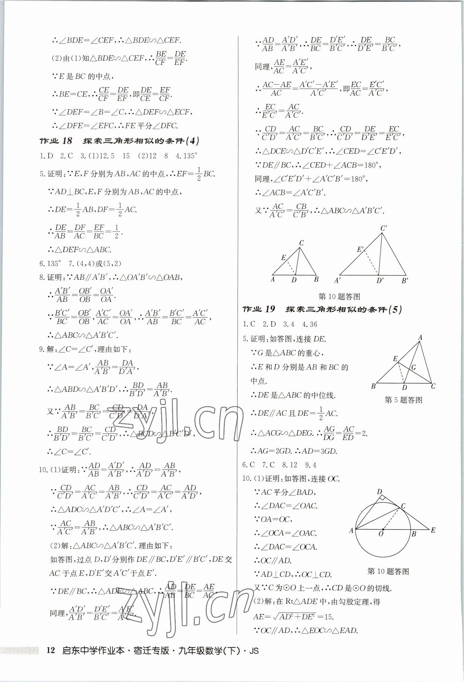 2023年启东中学作业本九年级数学下册苏科版宿迁专版 第12页