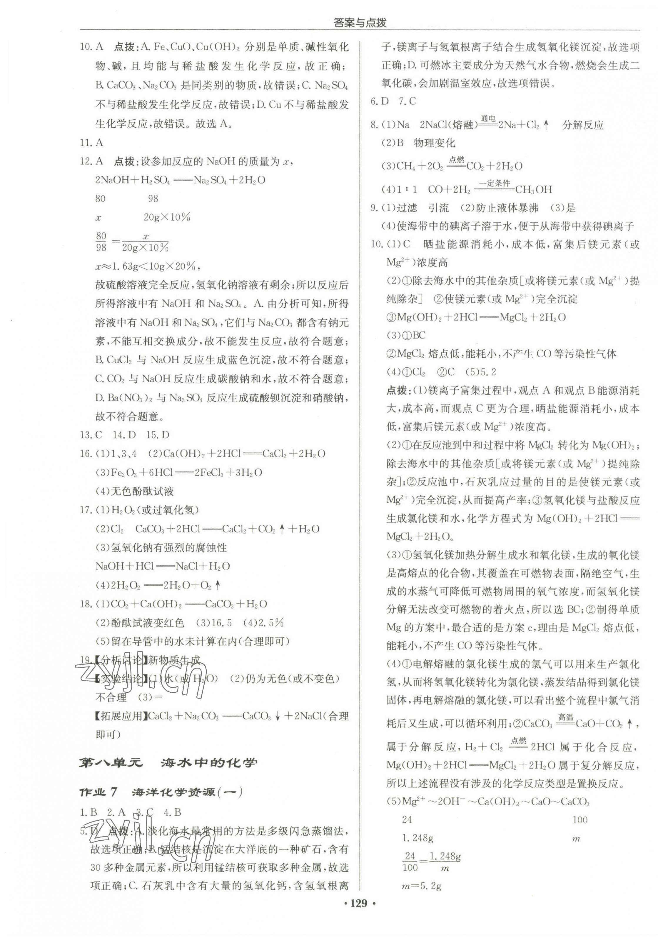 2023年啟東中學(xué)作業(yè)本九年級(jí)化學(xué)下冊(cè)魯教版宿遷專版 第3頁