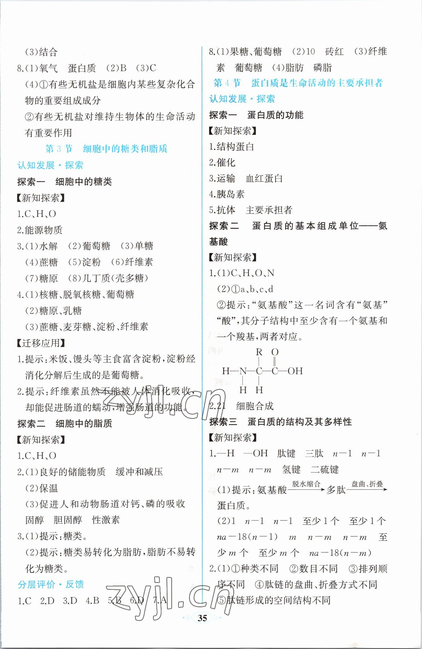 2022年同步解析與測評課時練生物必修1人教版 第5頁