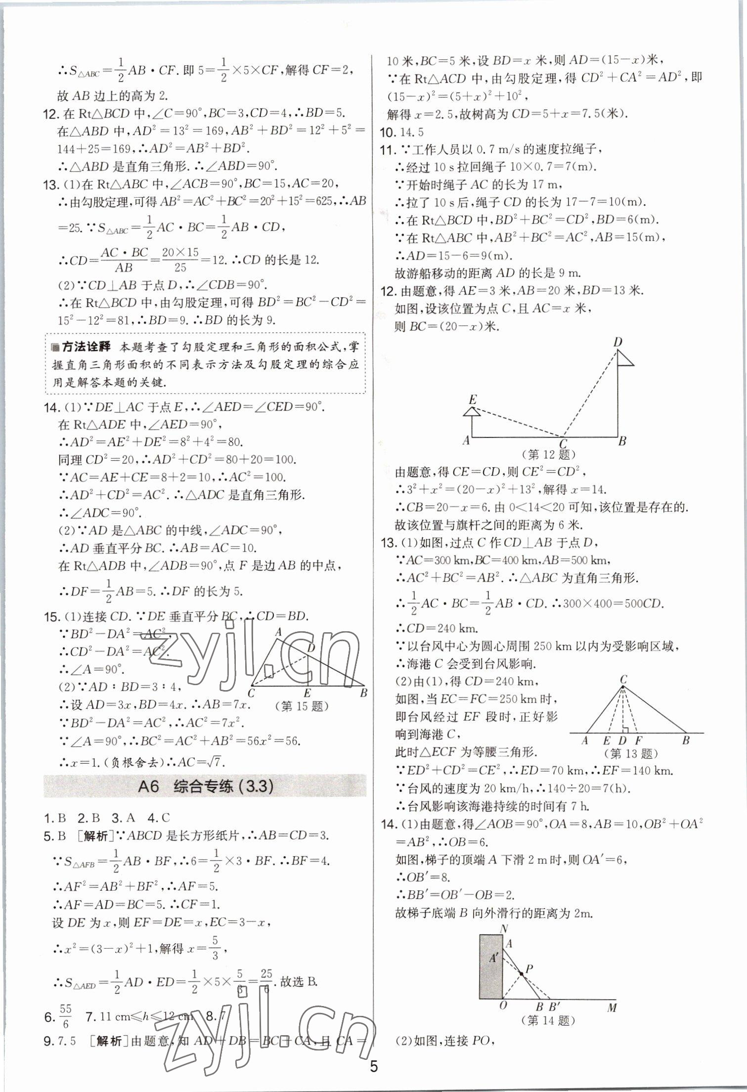 2022年期末闖關(guān)制勝金卷八年級數(shù)學(xué)上冊蘇科版 第5頁