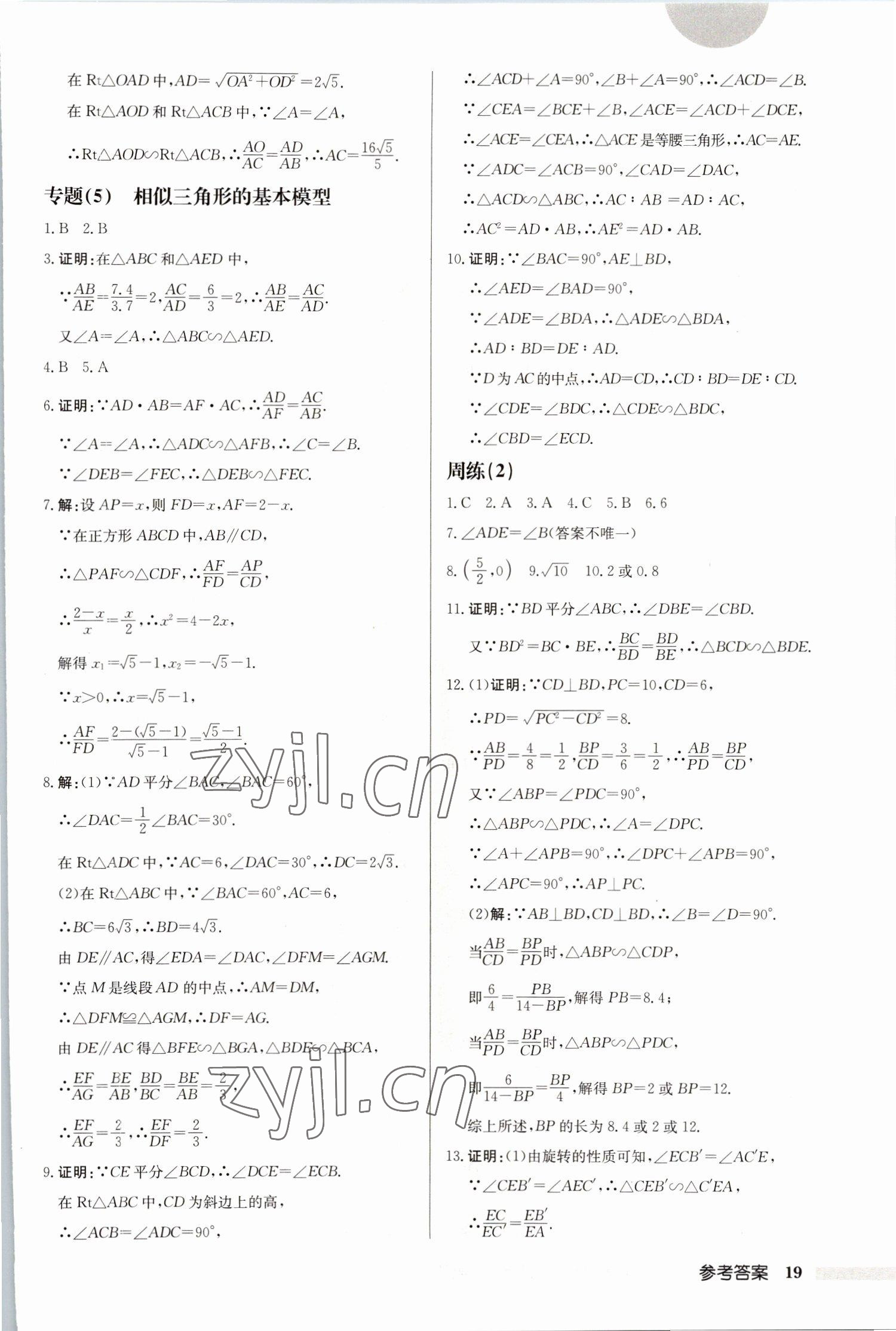 2023年启东中学作业本九年级数学下册苏科版连淮专版 第19页