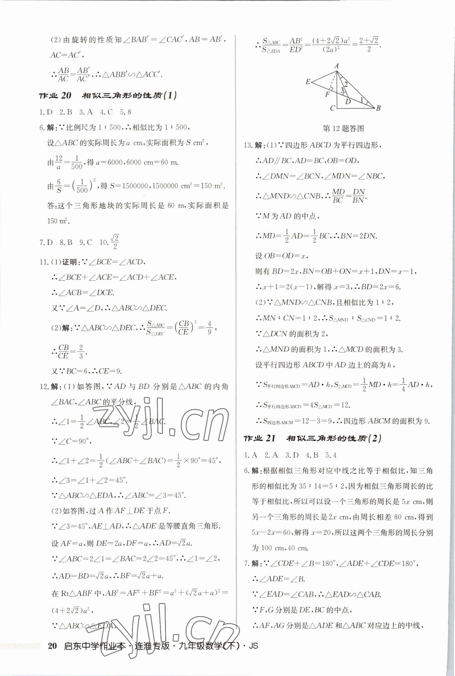 2023年启东中学作业本九年级数学下册苏科版连淮专版 第20页