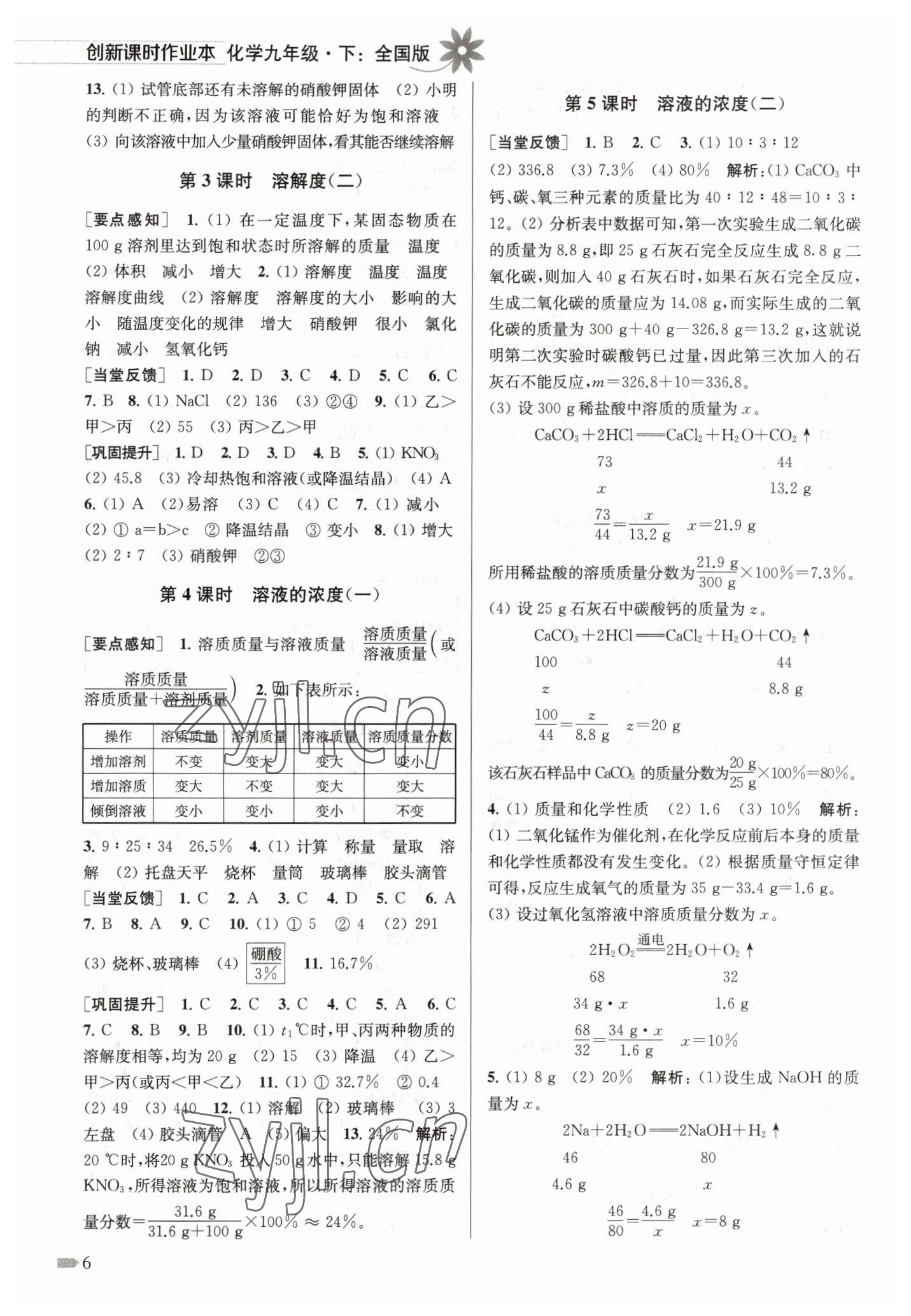 2023年創(chuàng)新課時作業(yè)本九年級化學(xué)下冊全國版 第6頁